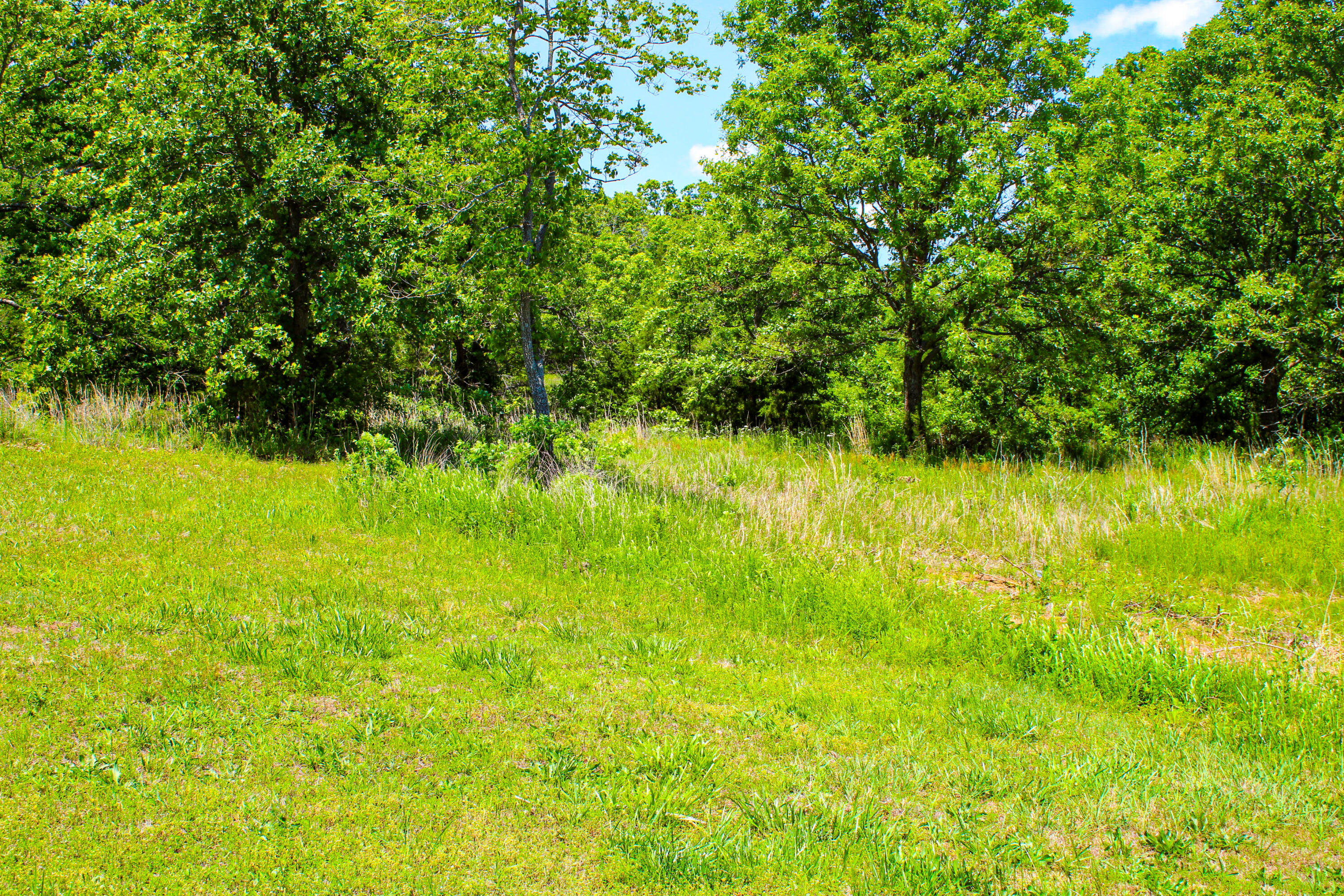 821 Northwest B Highway Property Photo 39