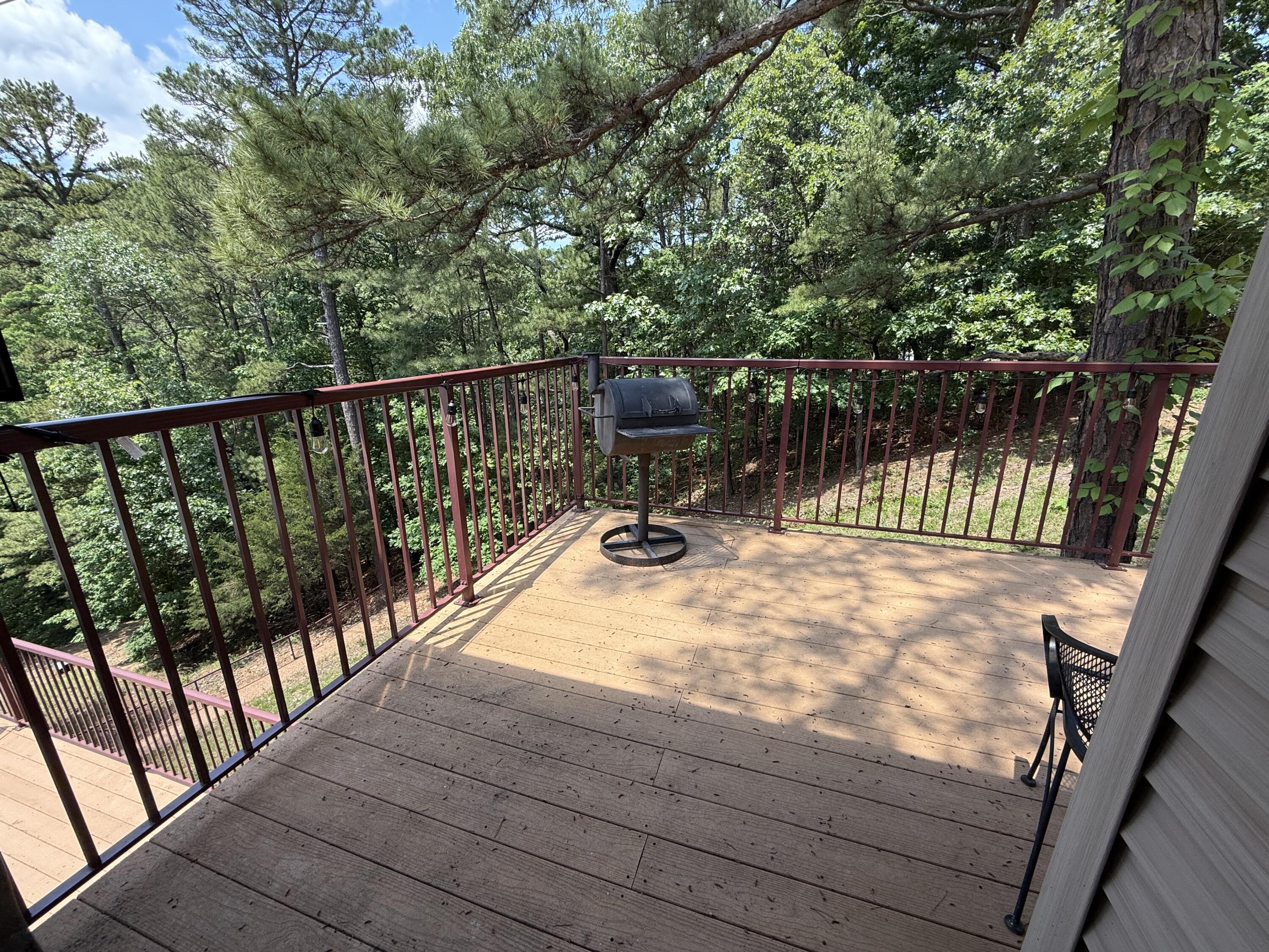 393 Ozark Mountain Resort Drive Property Photo 16
