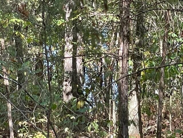 2382 Minnow Drive Property Photo 25
