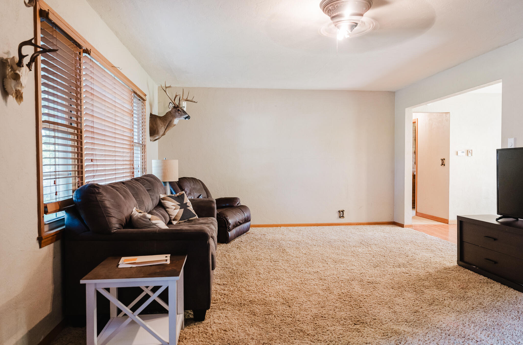 501 West Adamson Street Property Photo 4