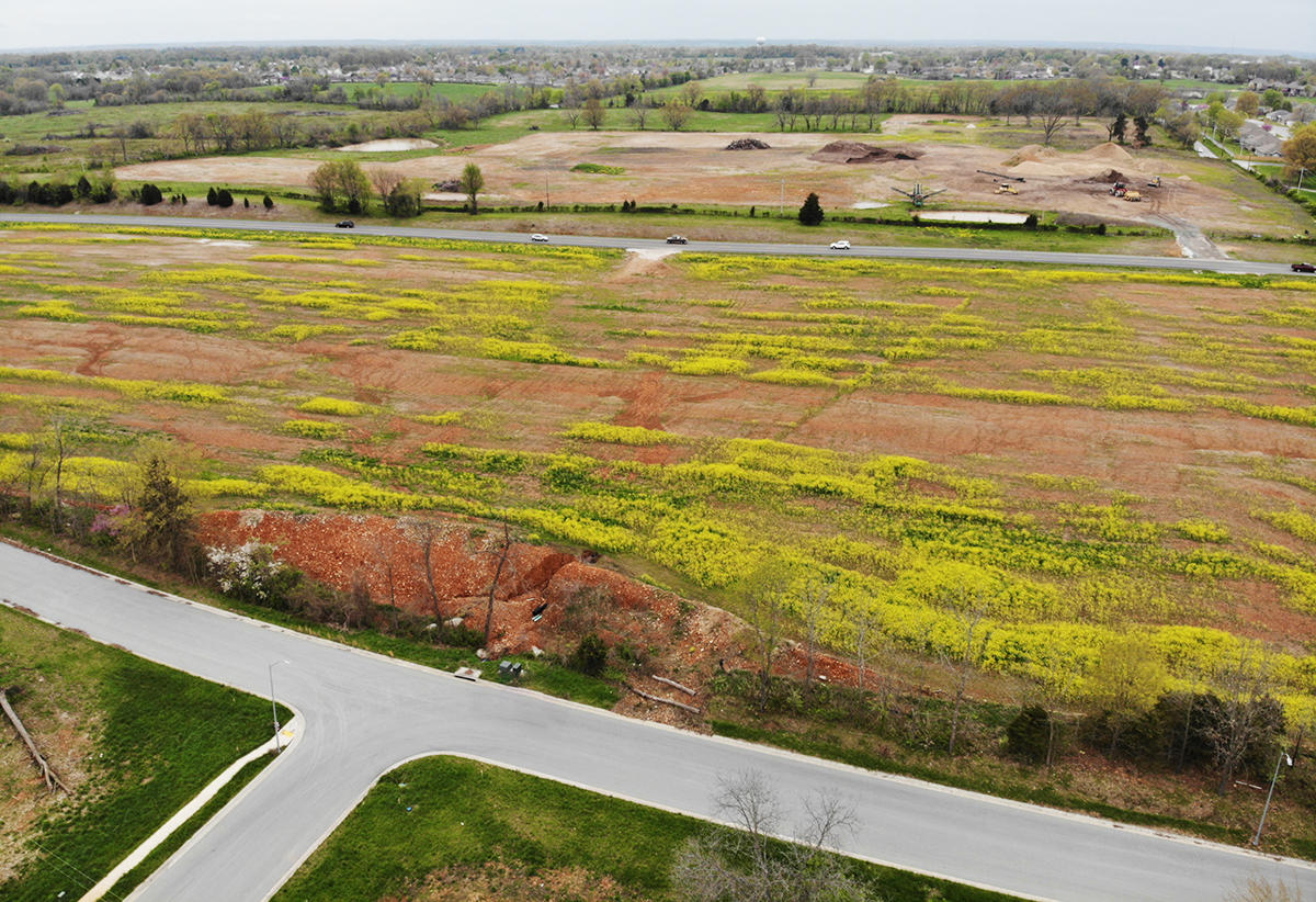 000 (tbd) Highway 160 (14.8 Acres) Street Property Photo 3