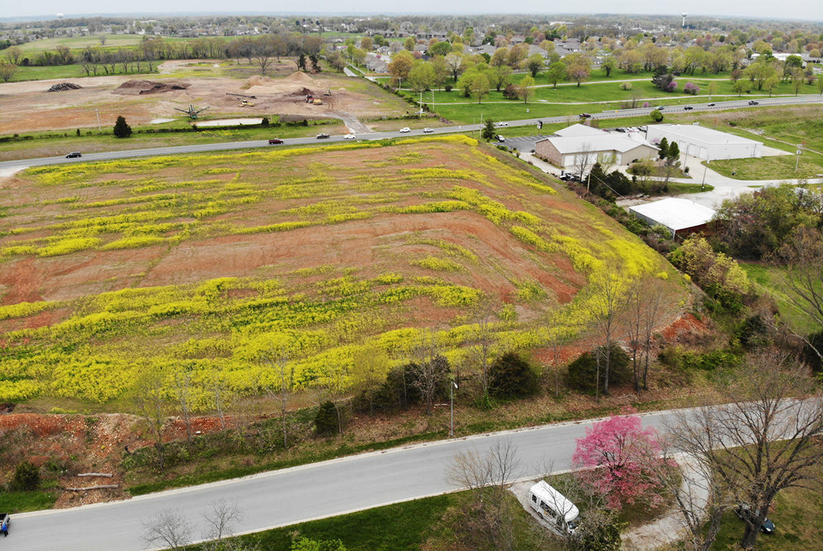 000 (tbd) Highway 160 (14.8 Acres) Street Property Photo 4