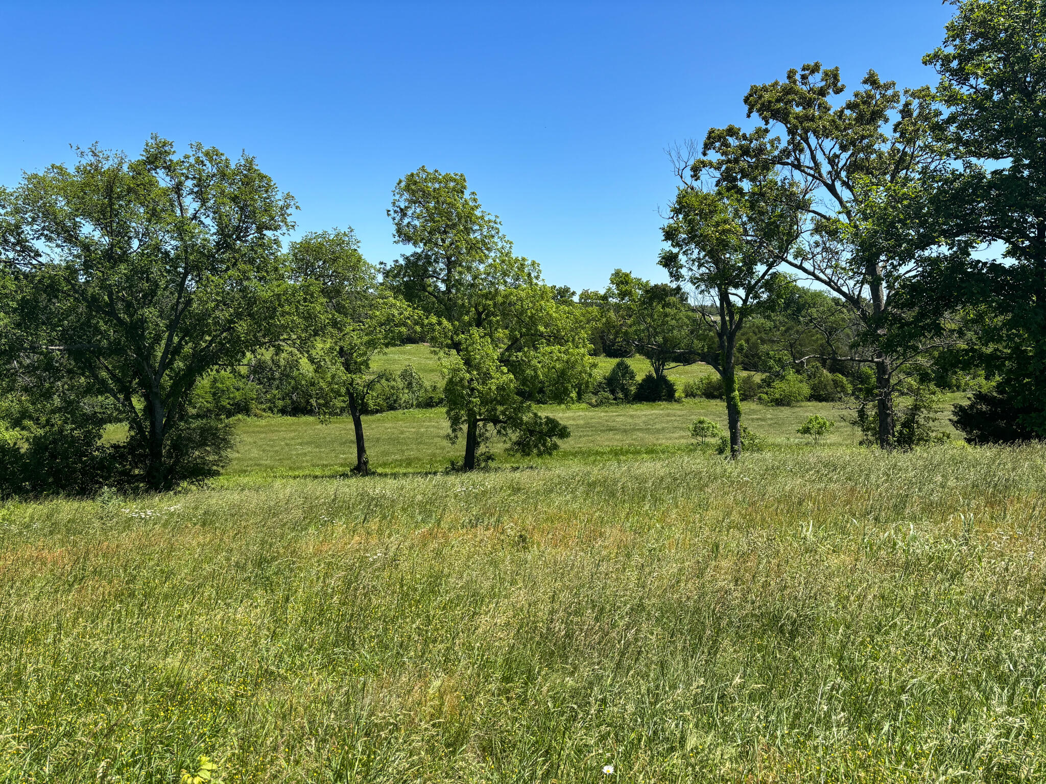 Tbd Highway 160 Property Photo 1