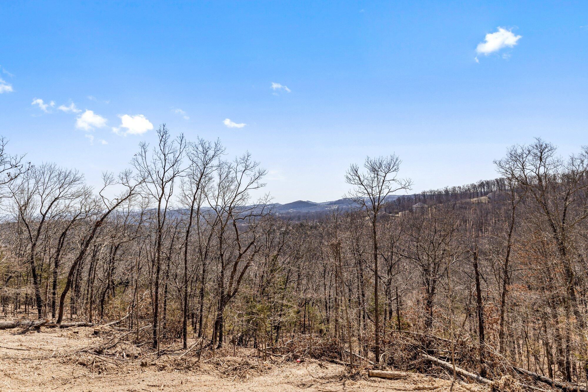 1212 Emory Creek Boulevard Property Photo 42
