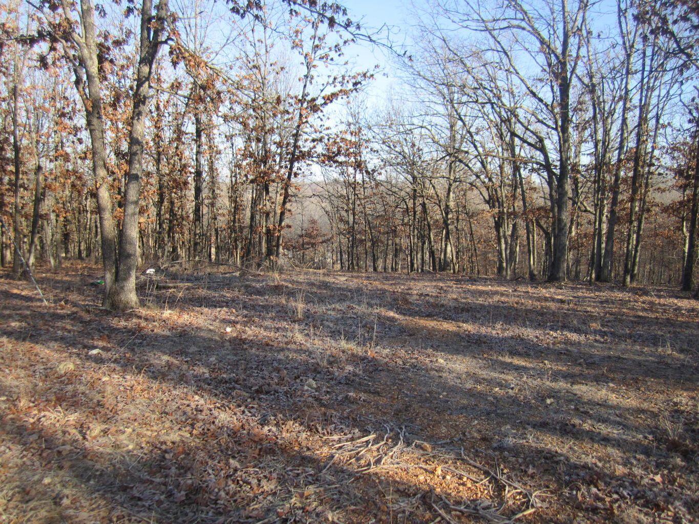 32880 Normal Drive Property Photo 39