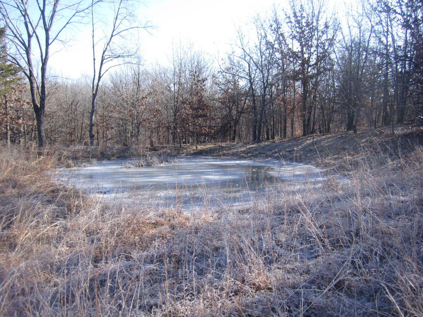 32880 Normal Drive Property Photo 43