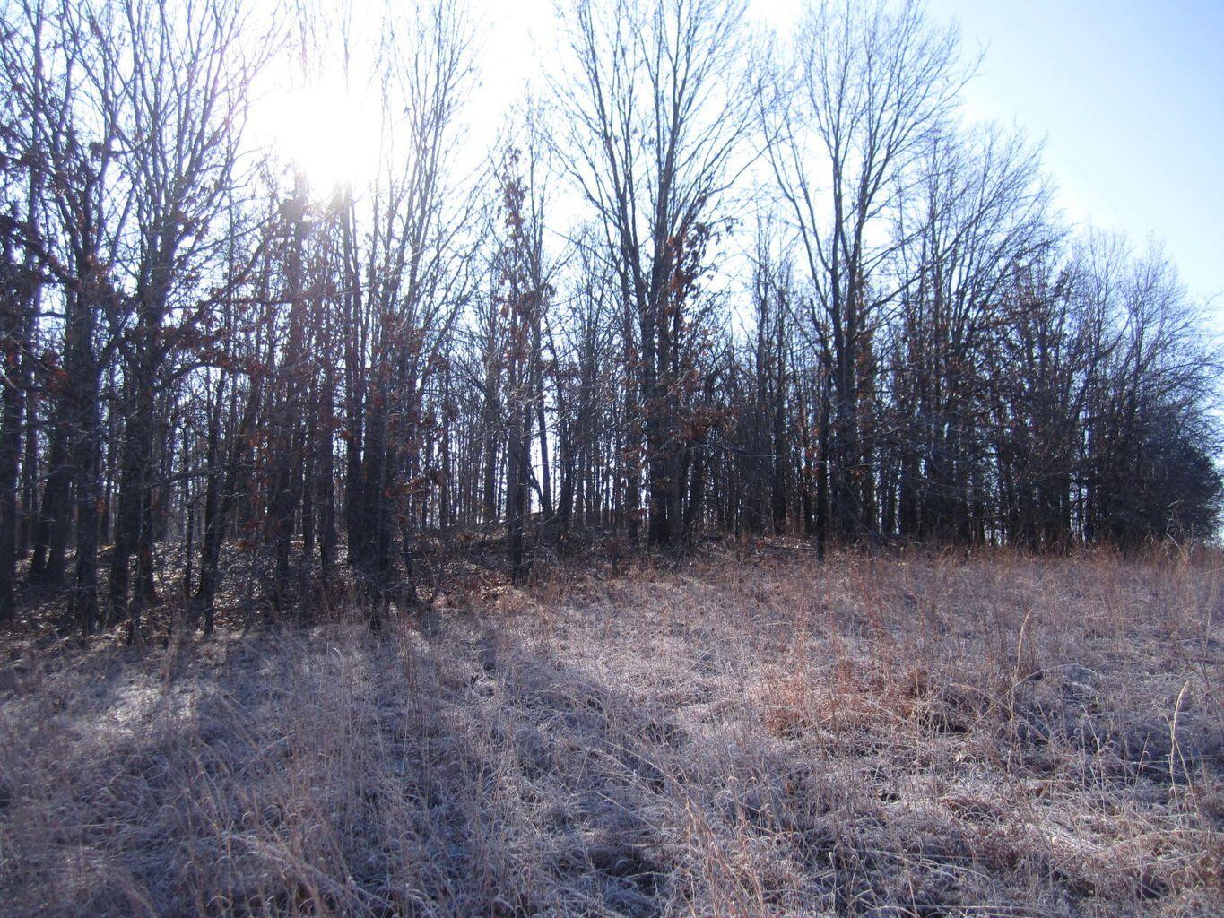 32880 Normal Drive Property Photo 44