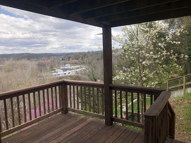 530 Taneycomo Hill Drive Property Photo 29