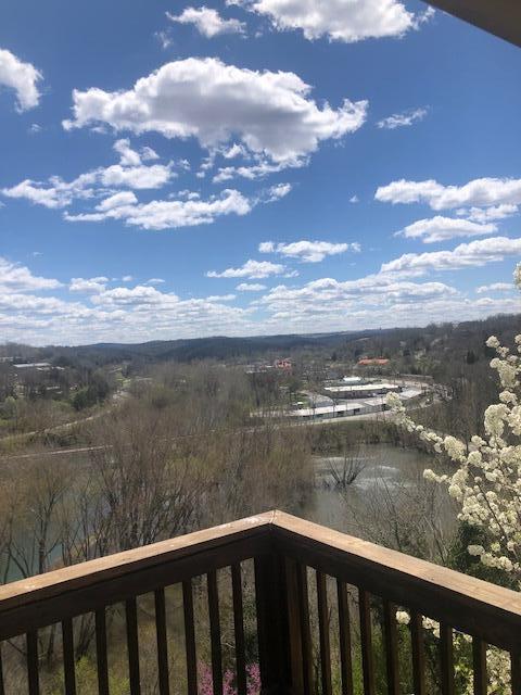 530 Taneycomo Hill Drive Property Photo 33
