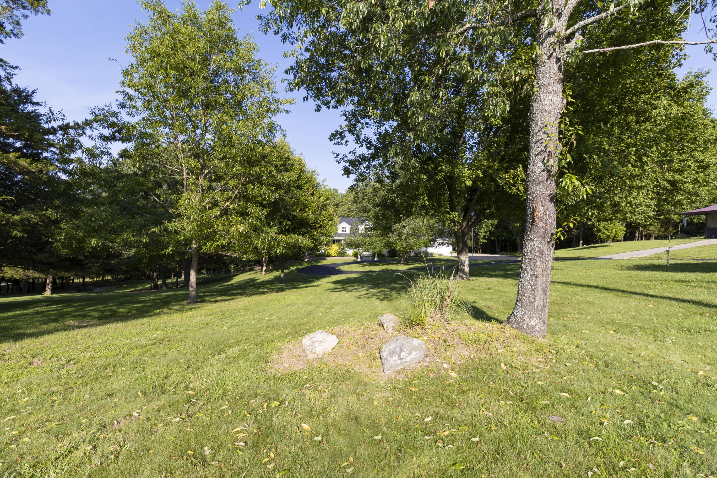 150 Licaria Road Property Photo 68