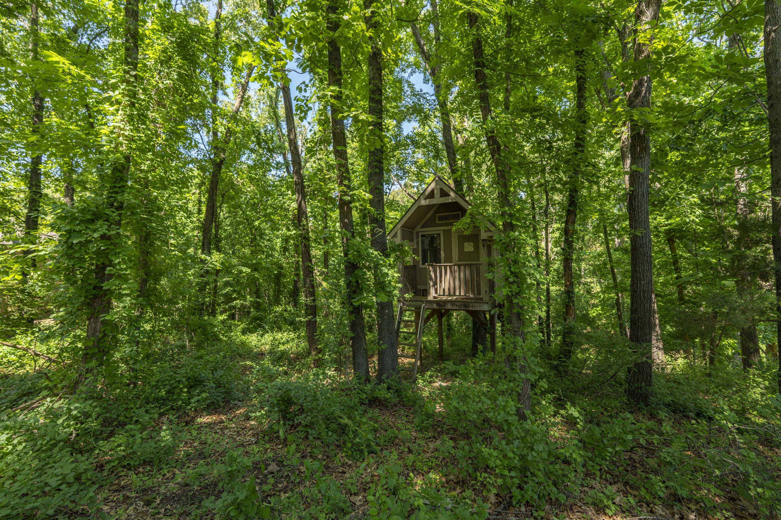 3262 South Thornridge Drive Property Photo 84