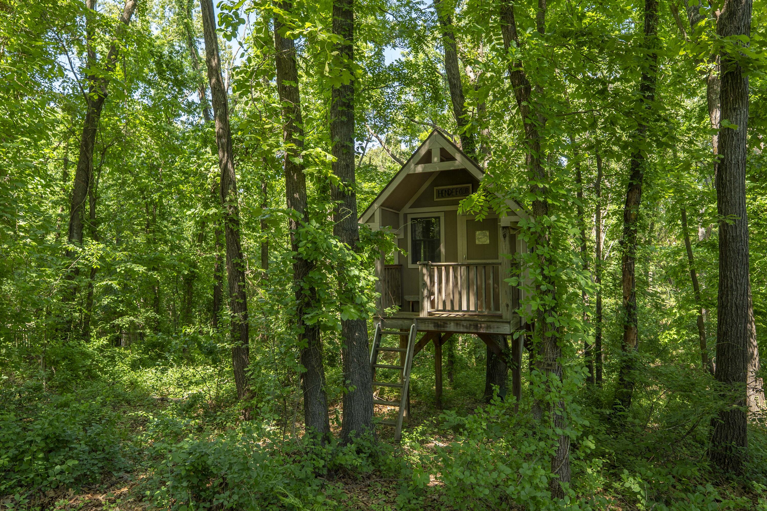 3262 South Thornridge Drive Property Photo 85
