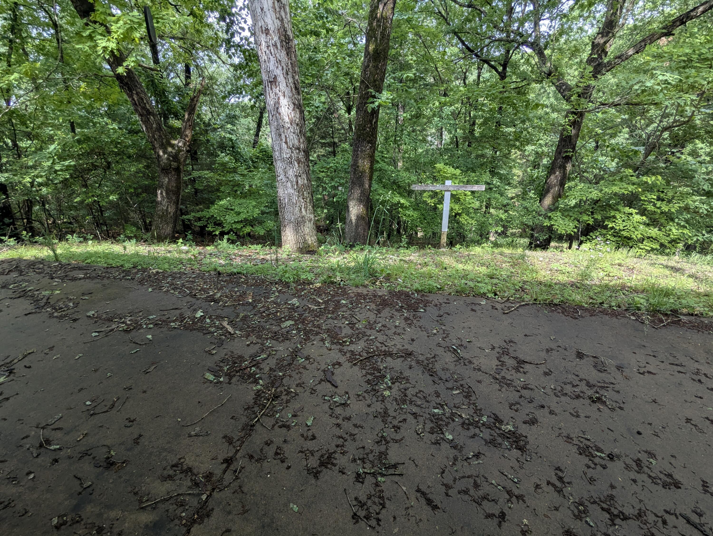 1649 Talking Rocks Road Property Photo 61