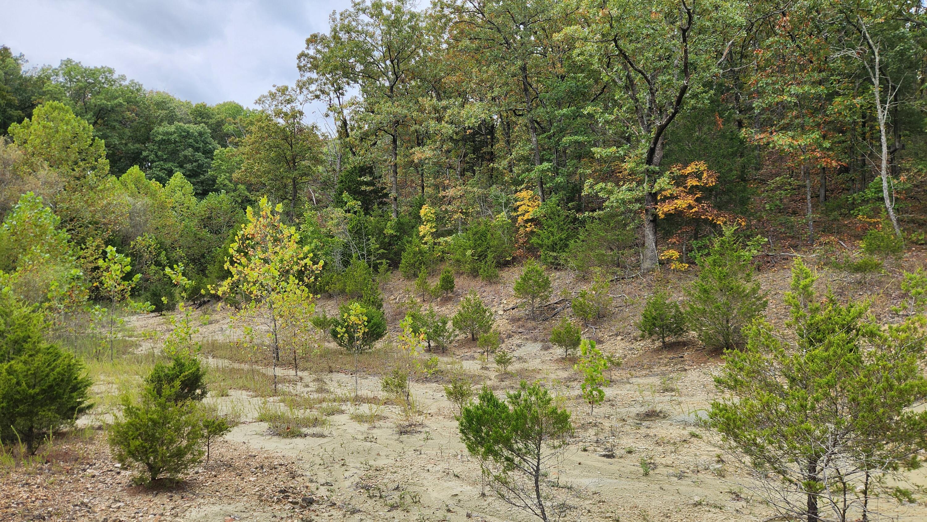 607 Sumac Lane Property Photo 100