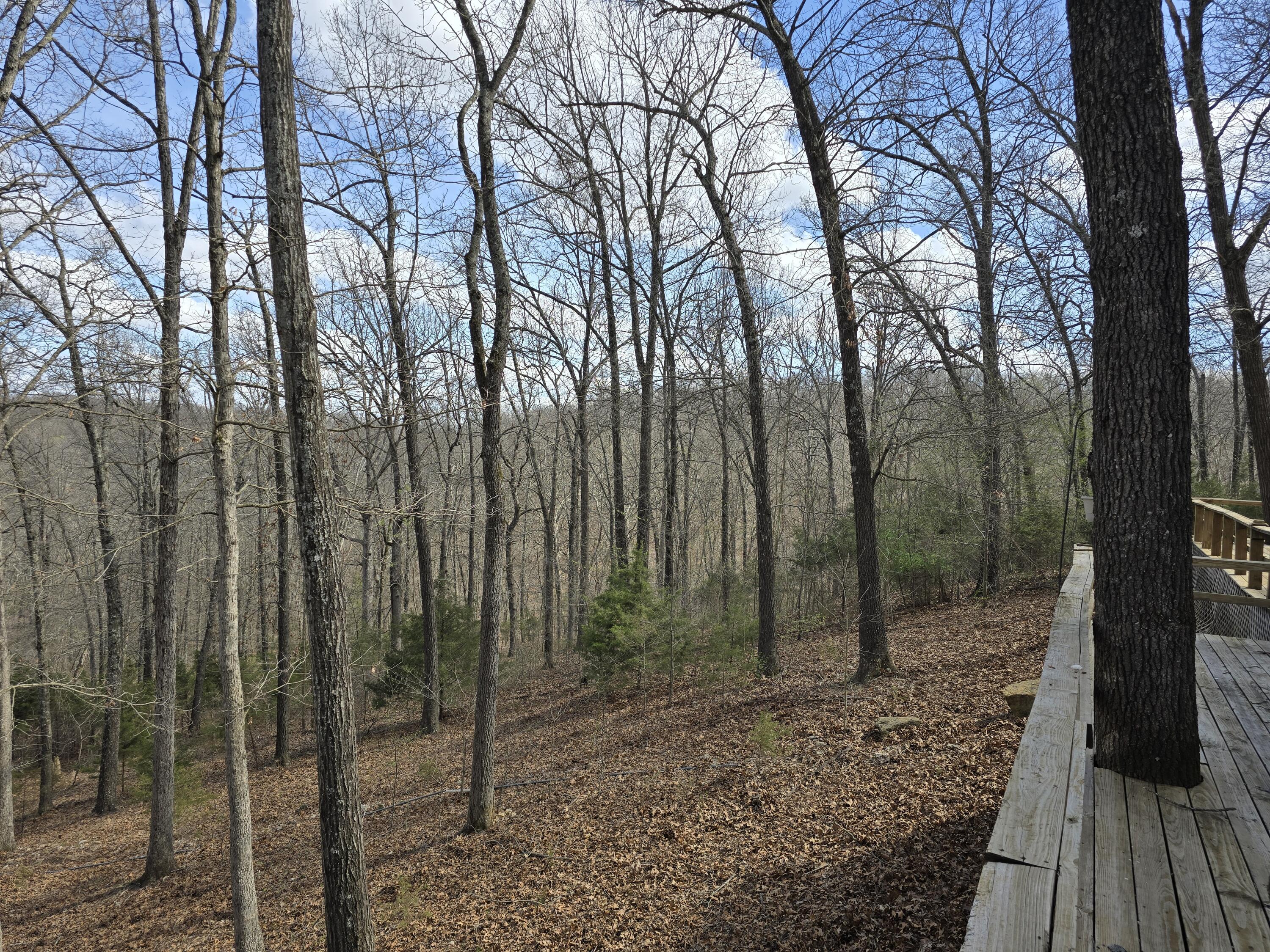 607 Sumac Lane Property Photo 109