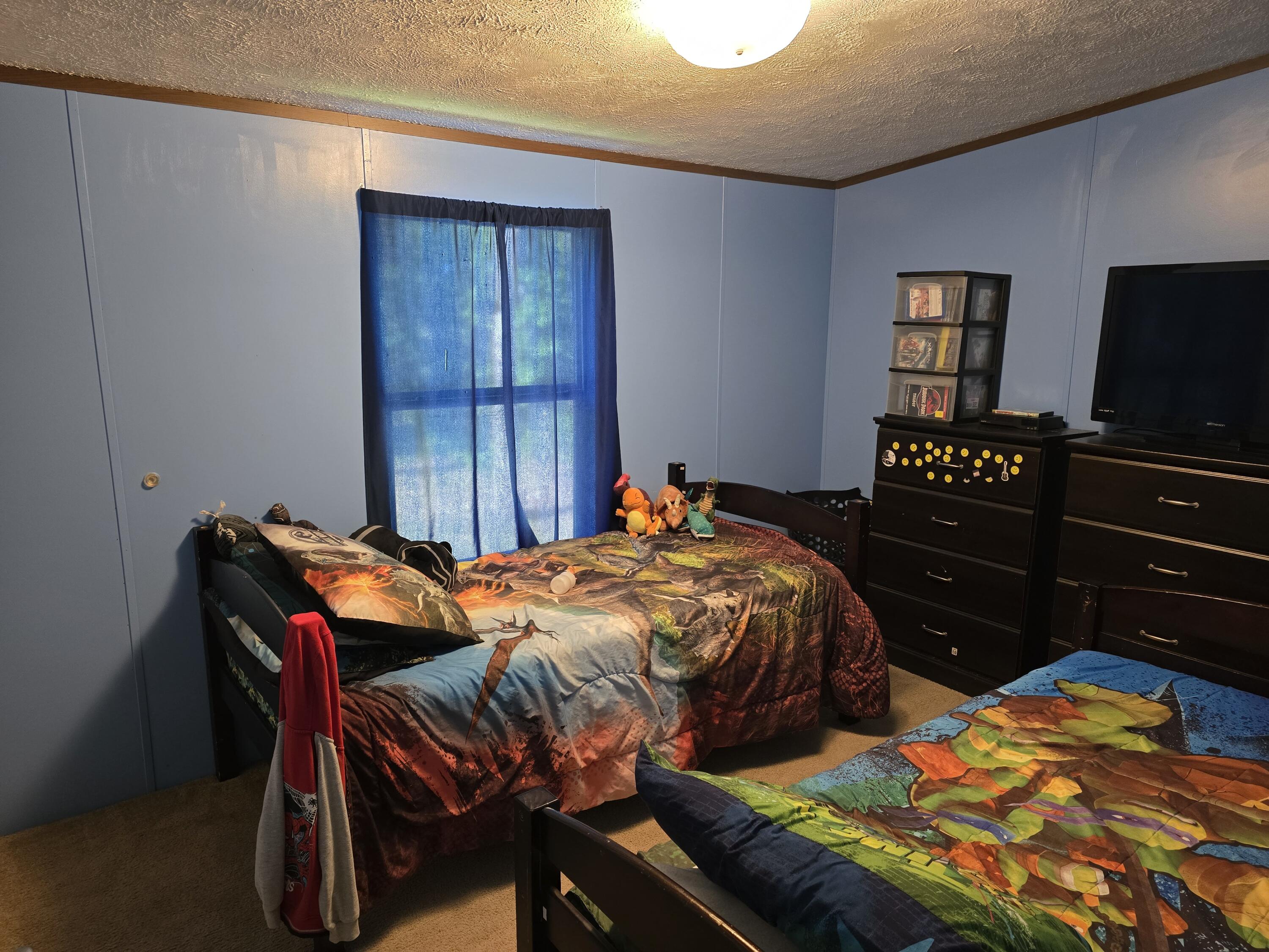 285 Lace Loop Property Photo 9