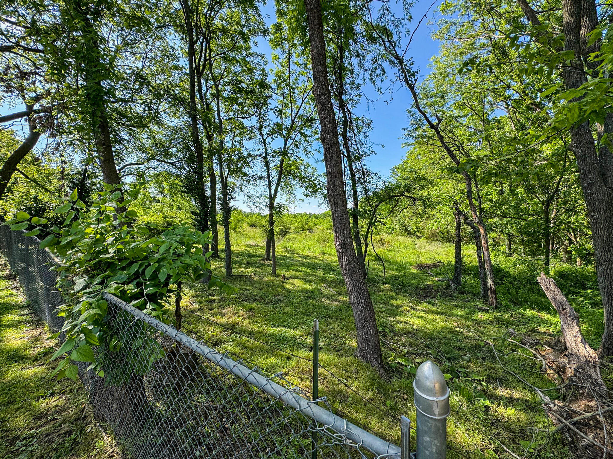 1831 East Woodbine Street Property Photo 6