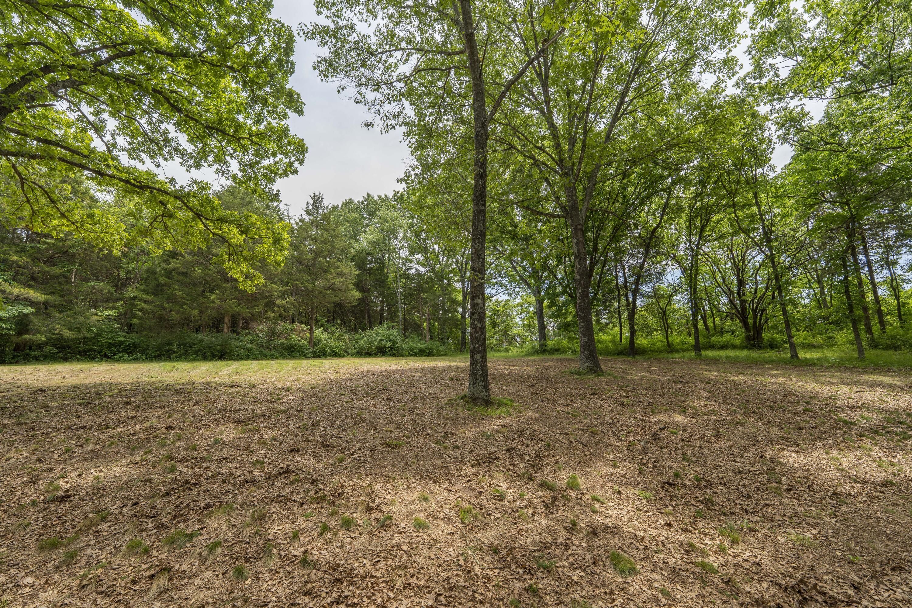 224 Loveland Drive Property Photo 45