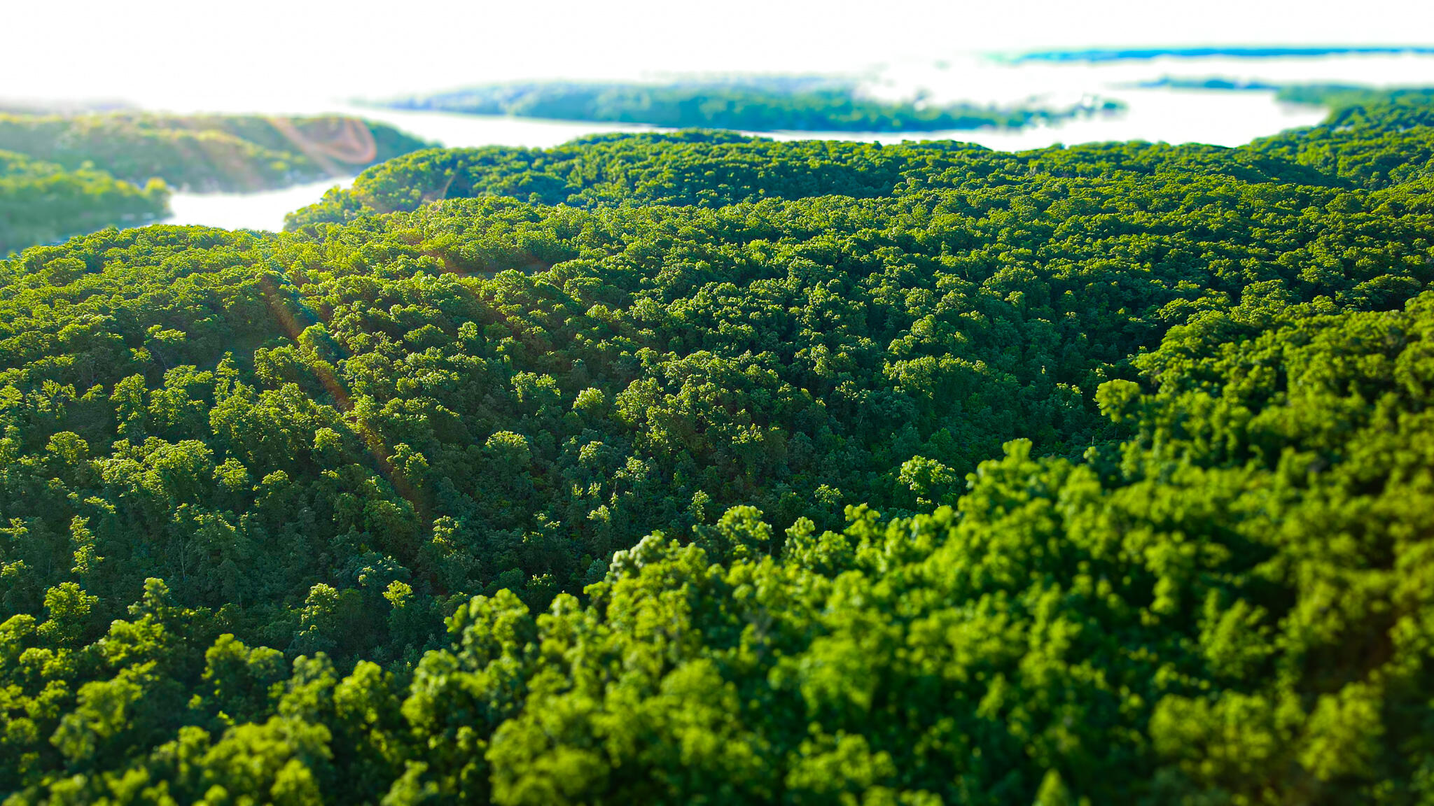 Tbd Sandy Road Property Photo 1