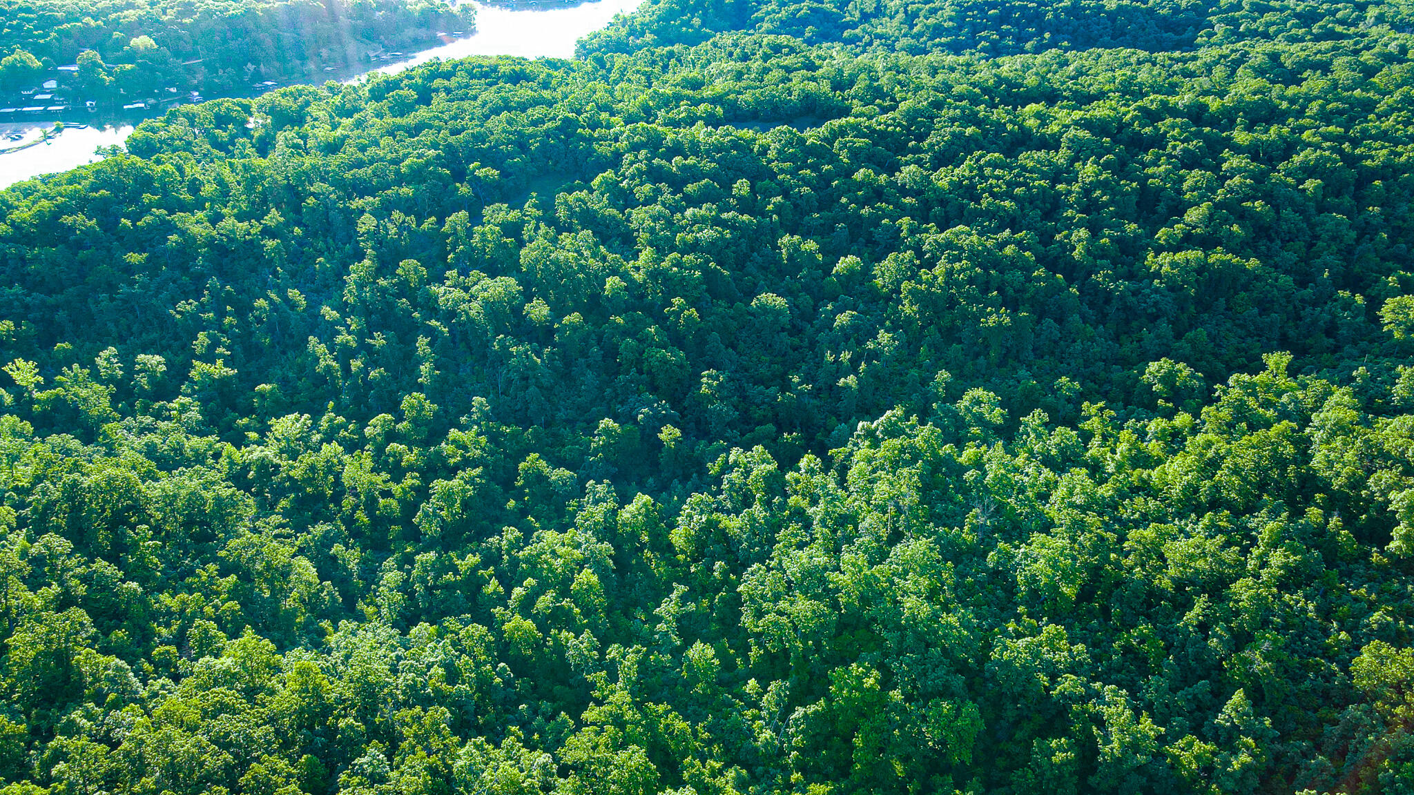 Tbd Sandy Road Property Photo 3