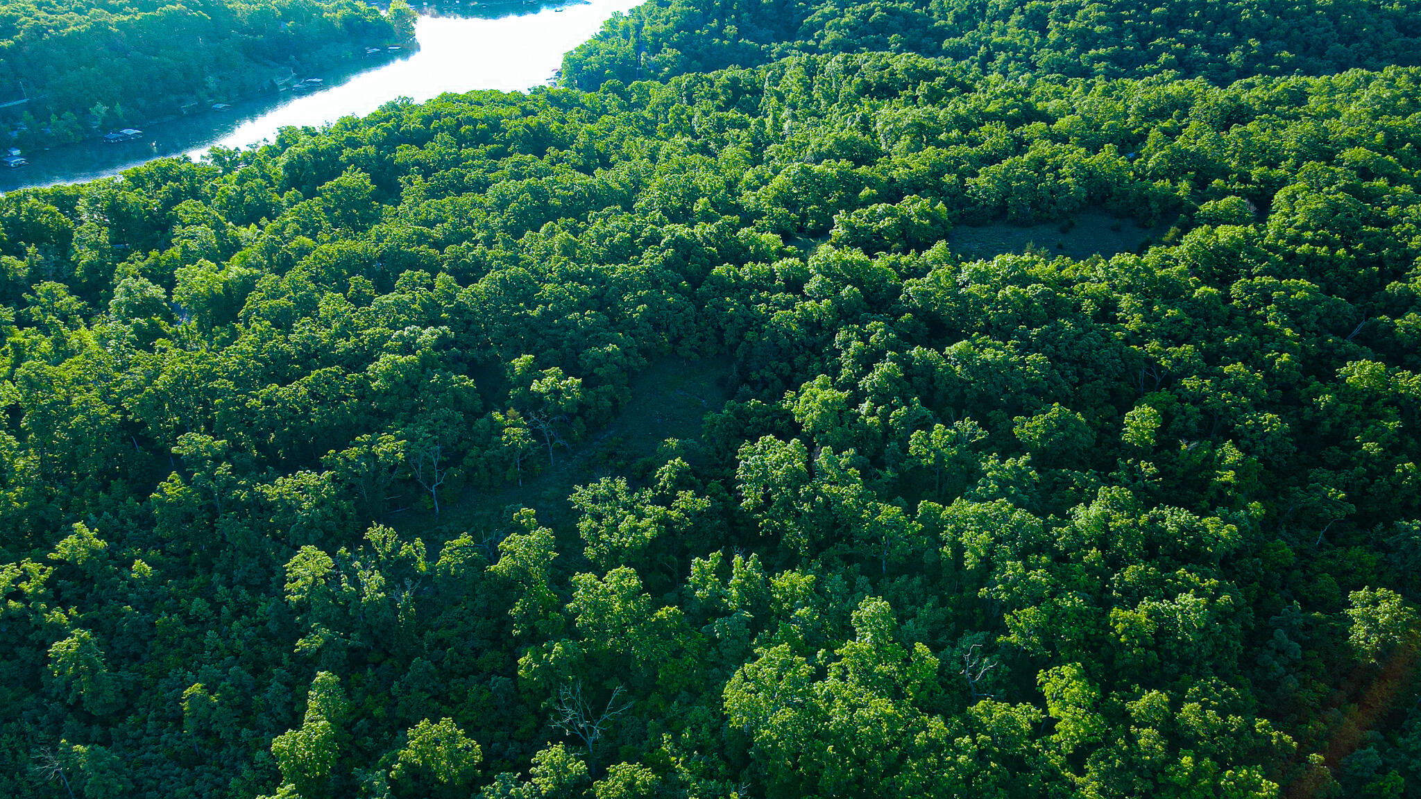 Tbd Sandy Road Property Photo 4