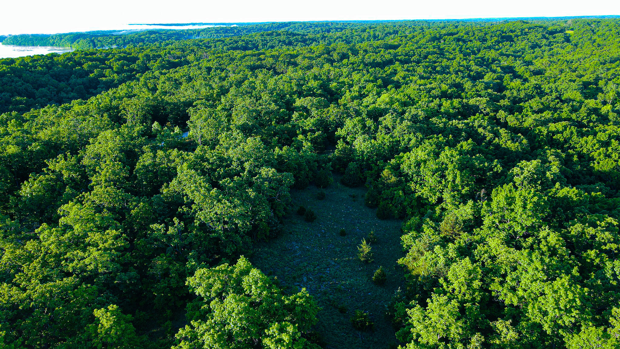 Tbd Sandy Road Property Photo 5
