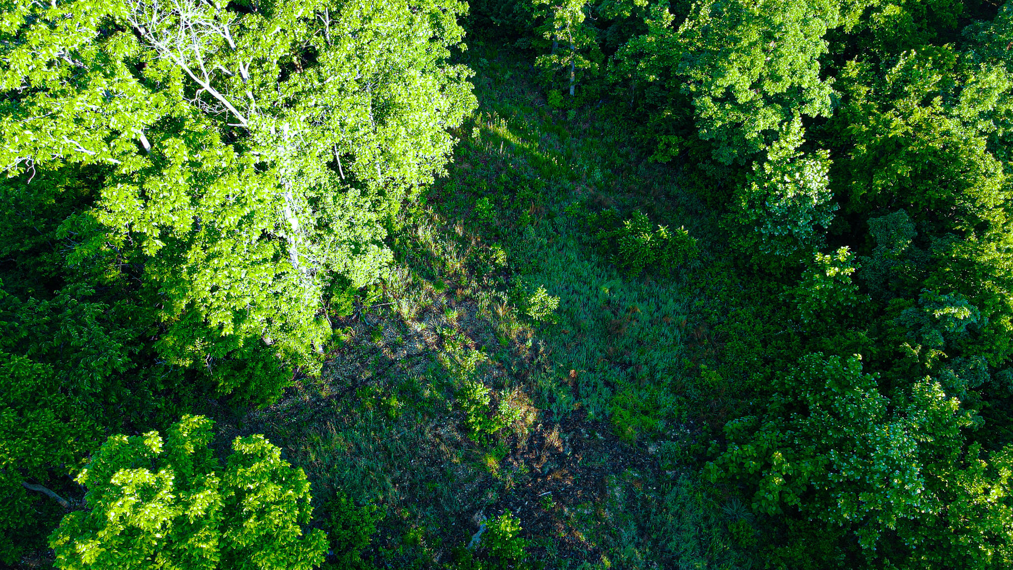 Tbd Sandy Road Property Photo 6