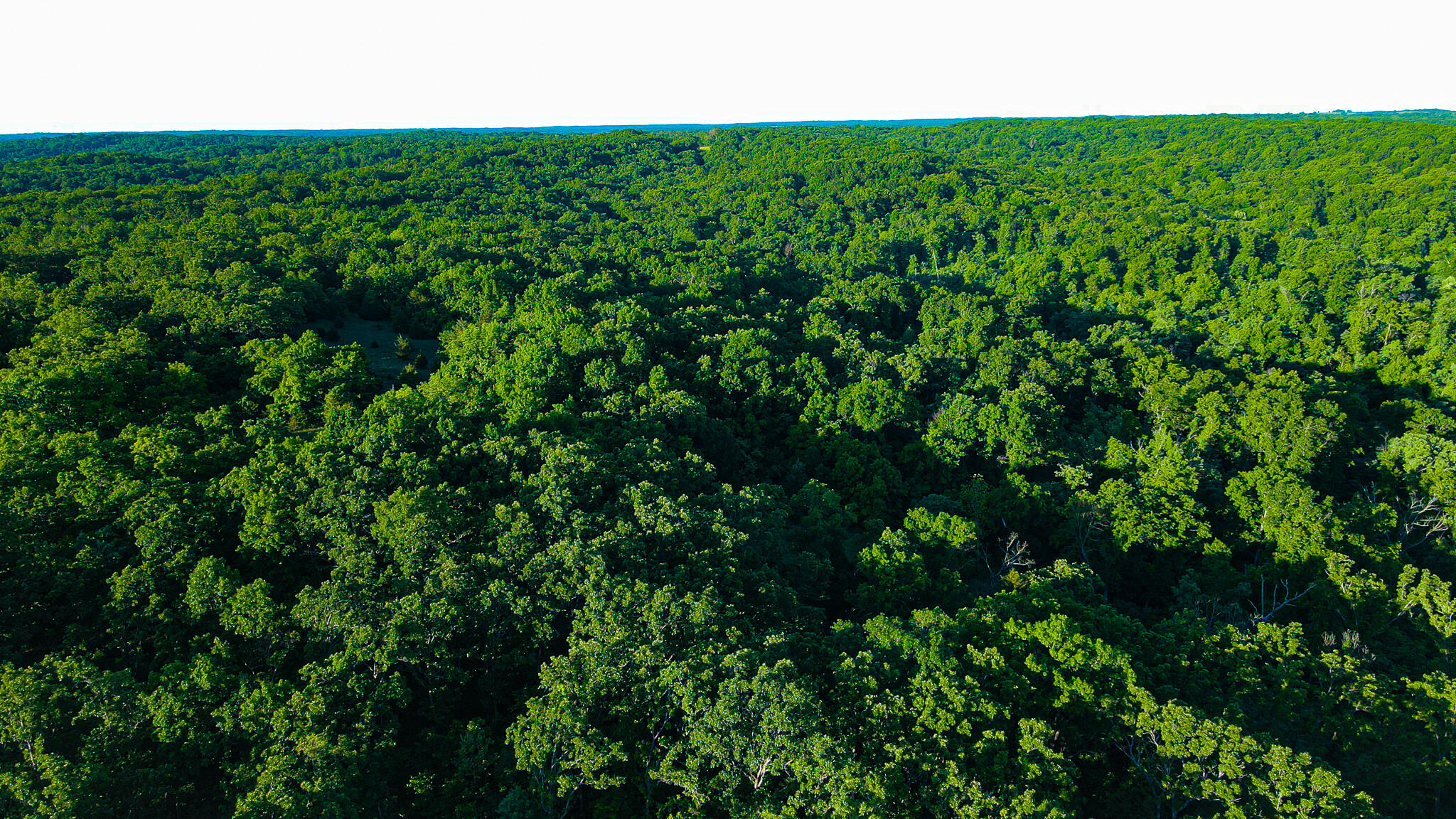 Tbd Sandy Road Property Photo 7