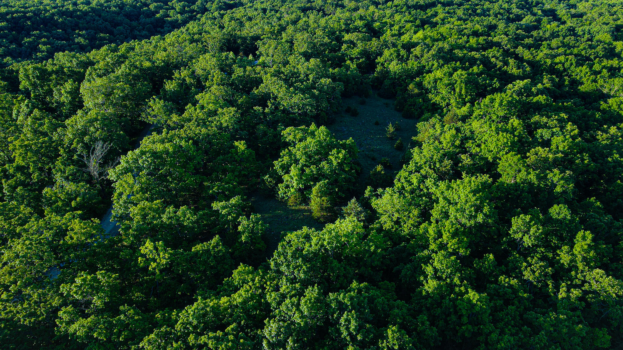 Tbd Sandy Road Property Photo 8