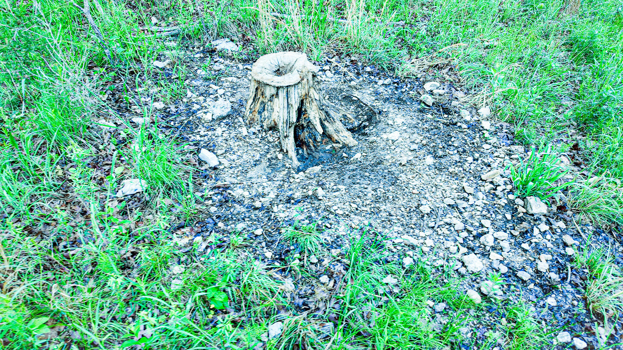 Tbd Sandy Road Property Photo 10