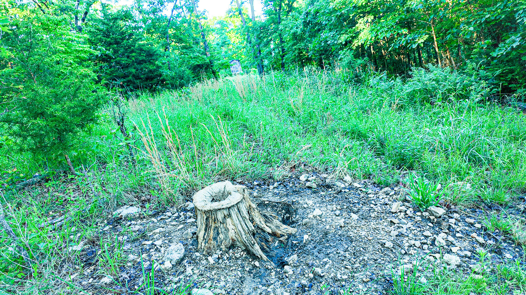 Tbd Sandy Road Property Photo 11