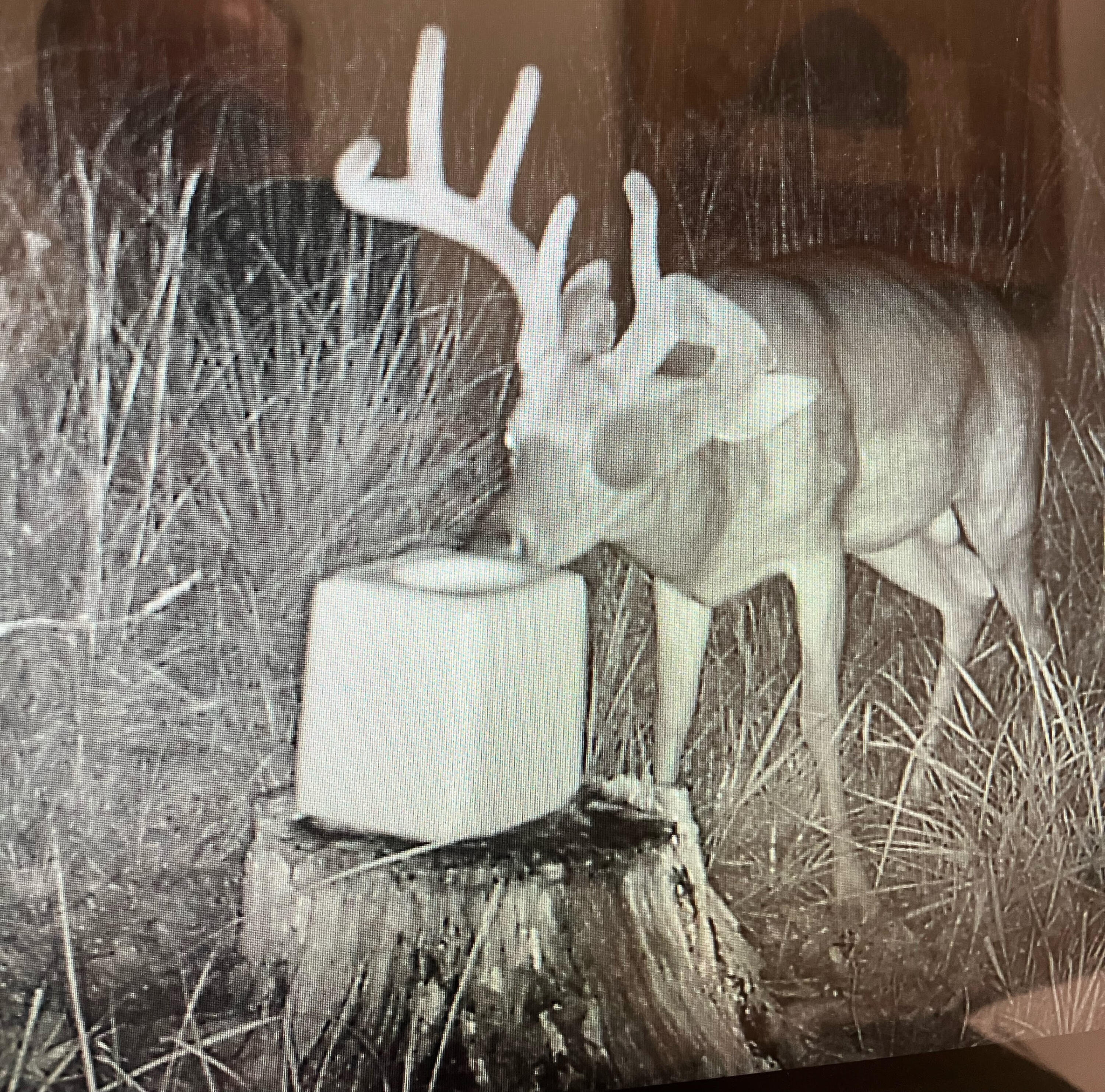 Tbd Sandy Road Property Photo 12