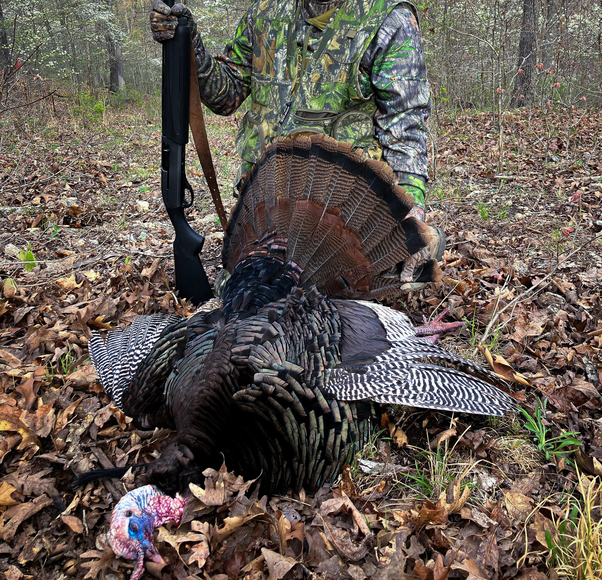 Tbd Sandy Road Property Photo 14