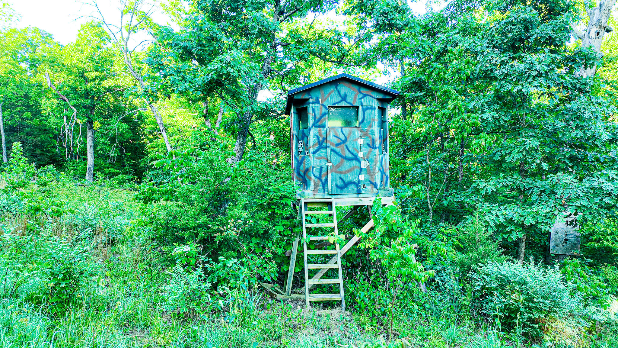 Tbd Sandy Road Property Photo 15