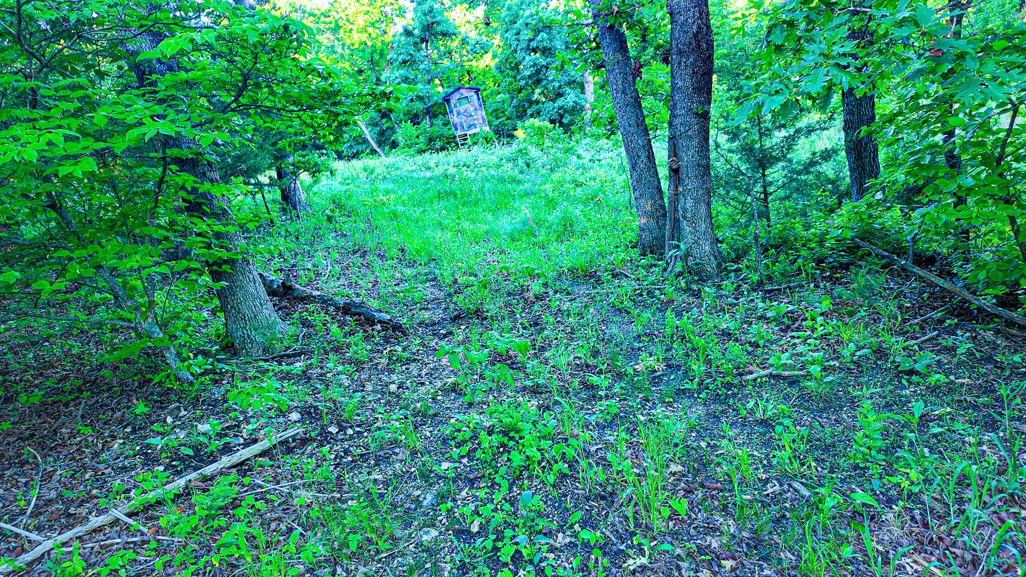 Tbd Sandy Road Property Photo 16