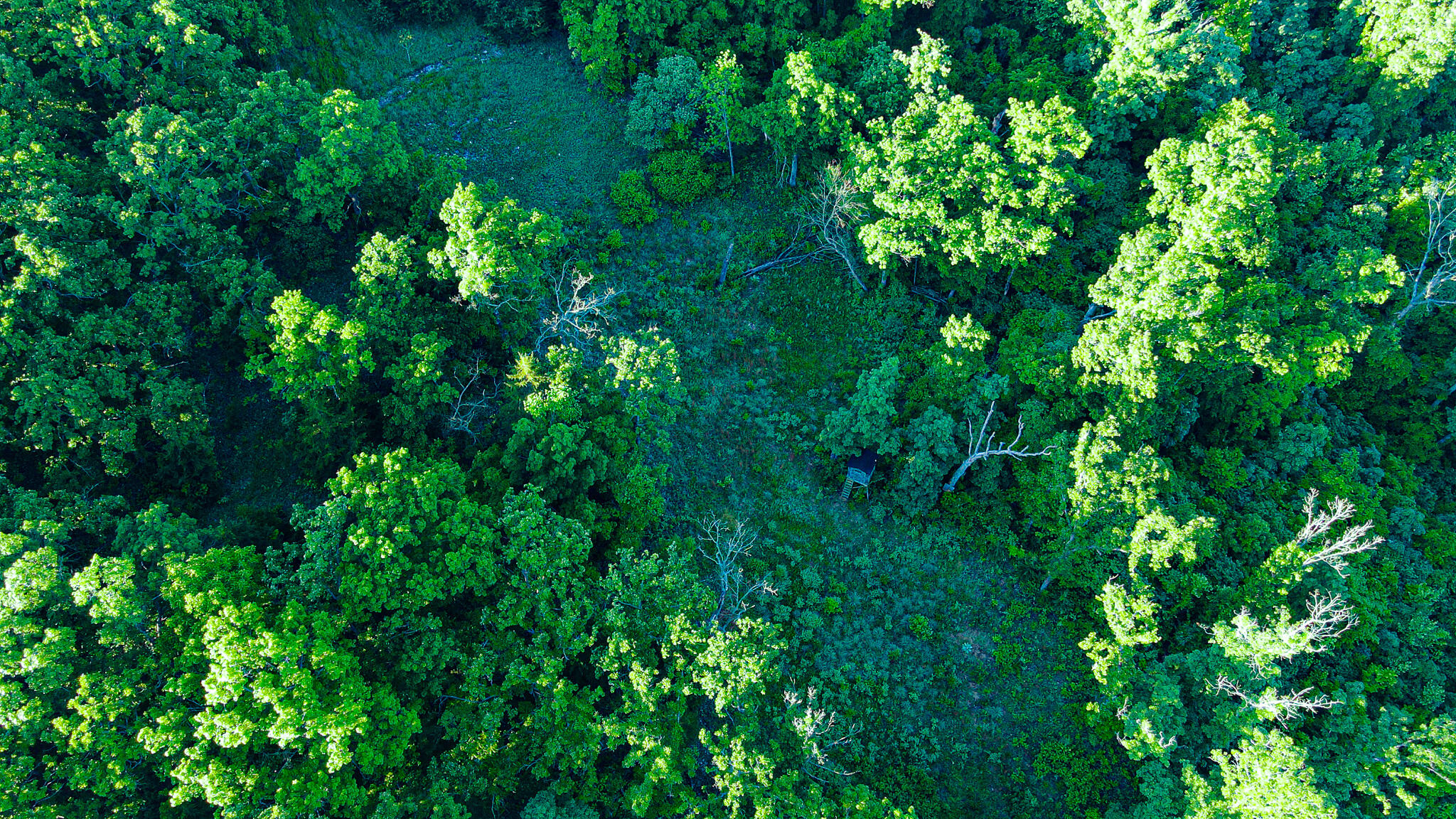 Tbd Sandy Road Property Photo 17