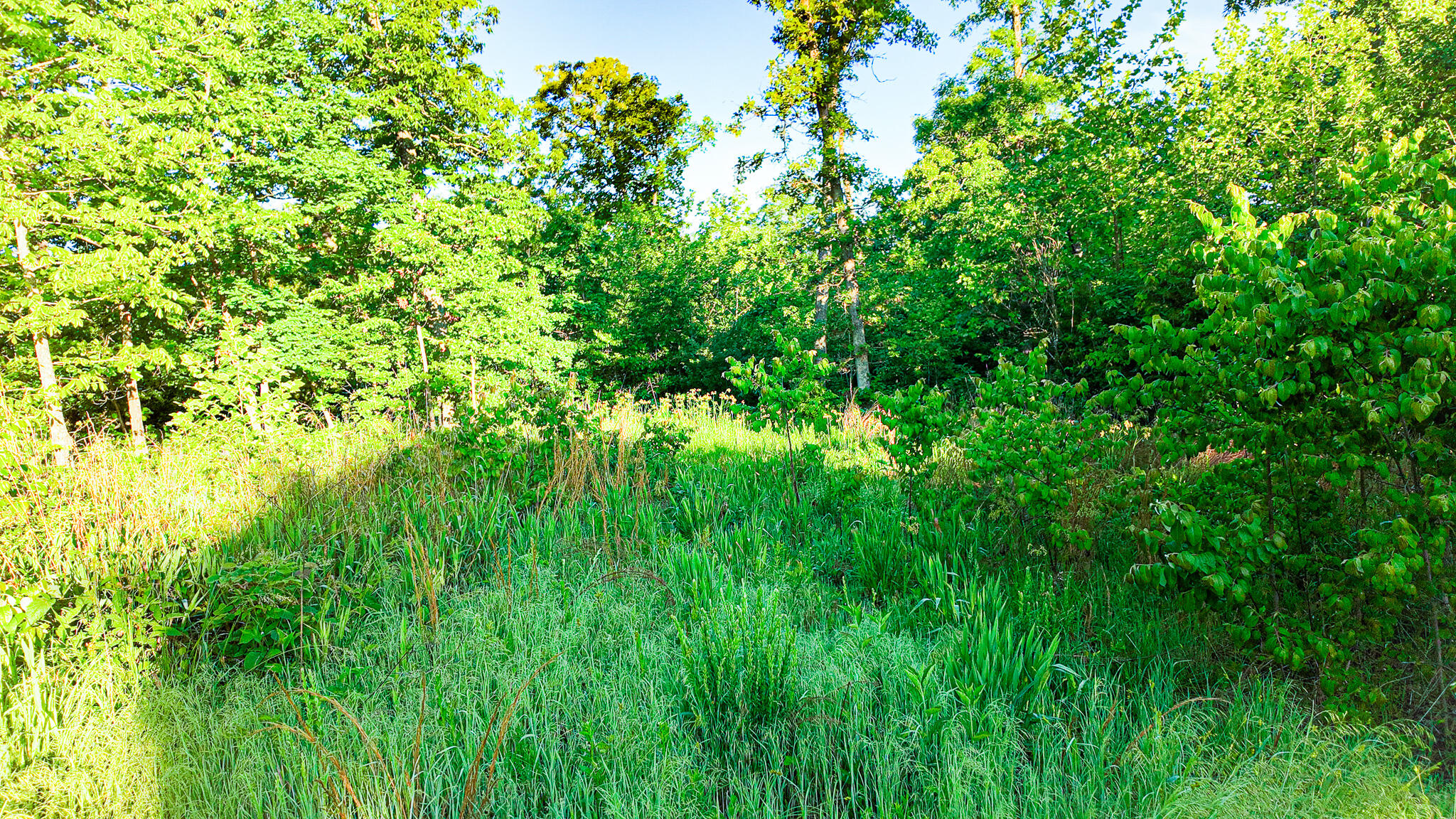 Tbd Sandy Road Property Photo 18