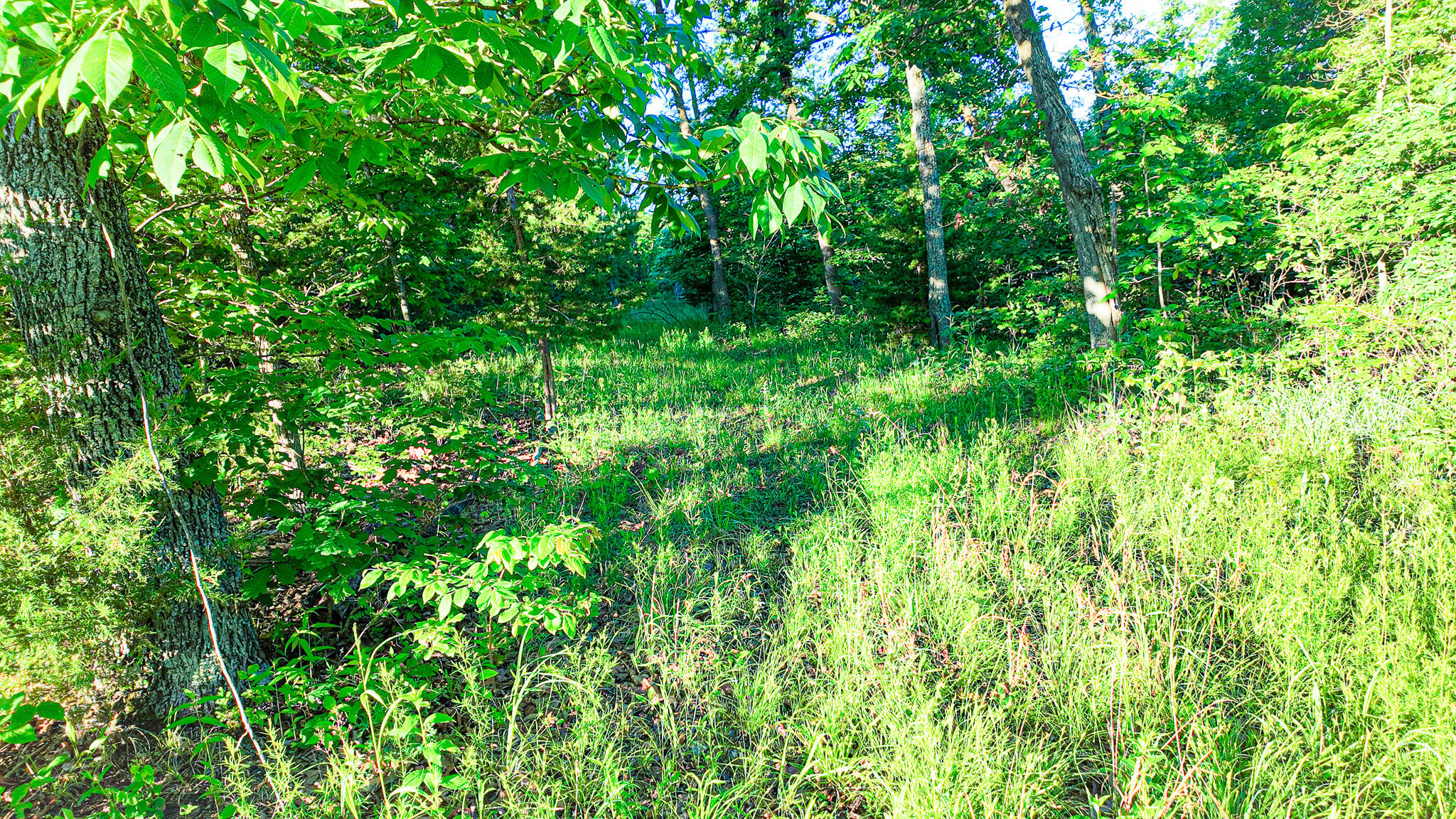 Tbd Sandy Road Property Photo 19