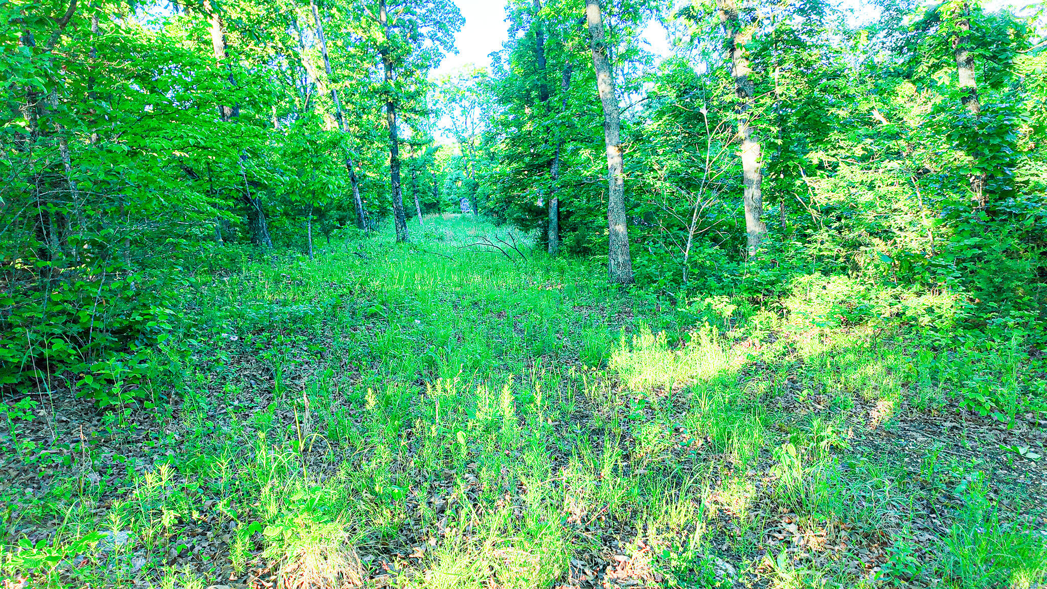 Tbd Sandy Road Property Photo 20