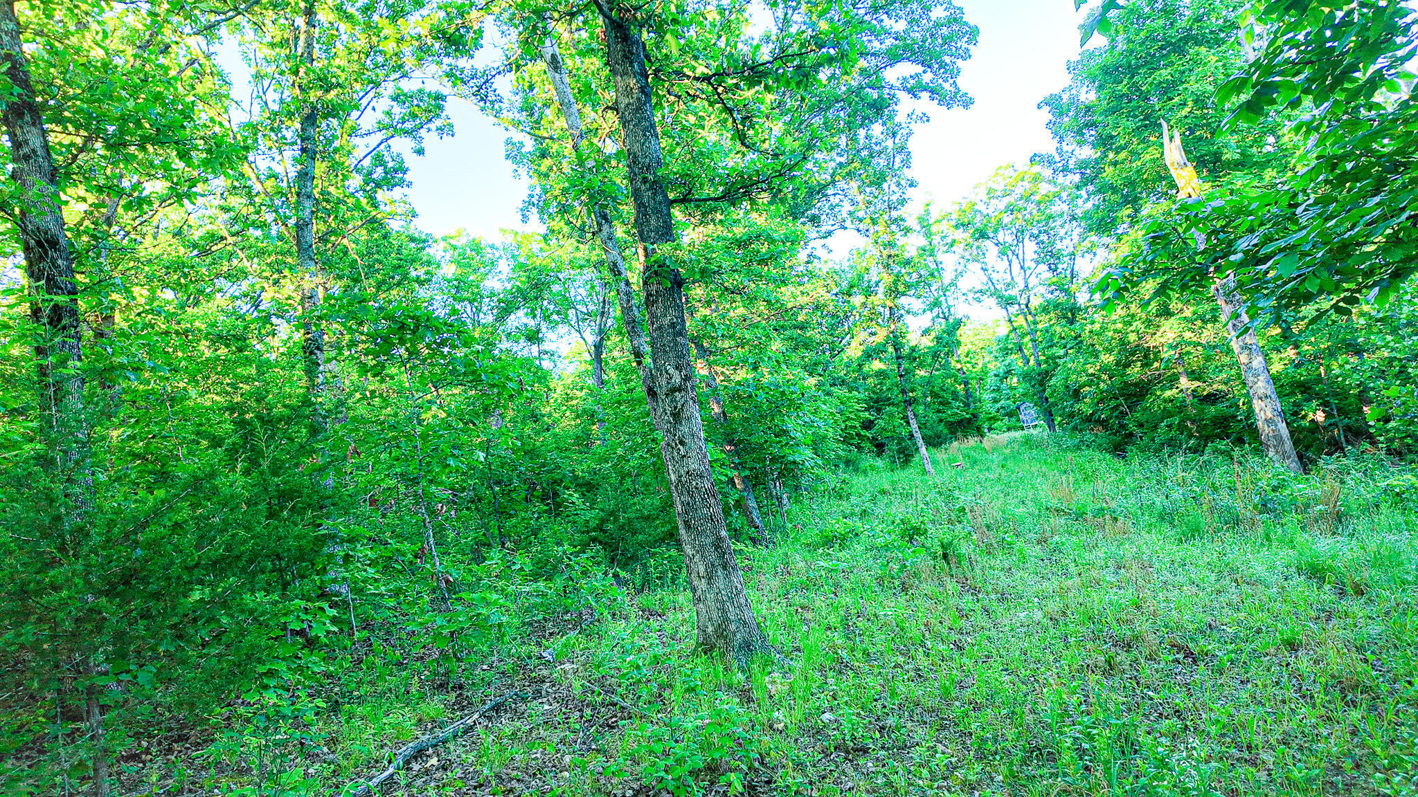 Tbd Sandy Road Property Photo 21