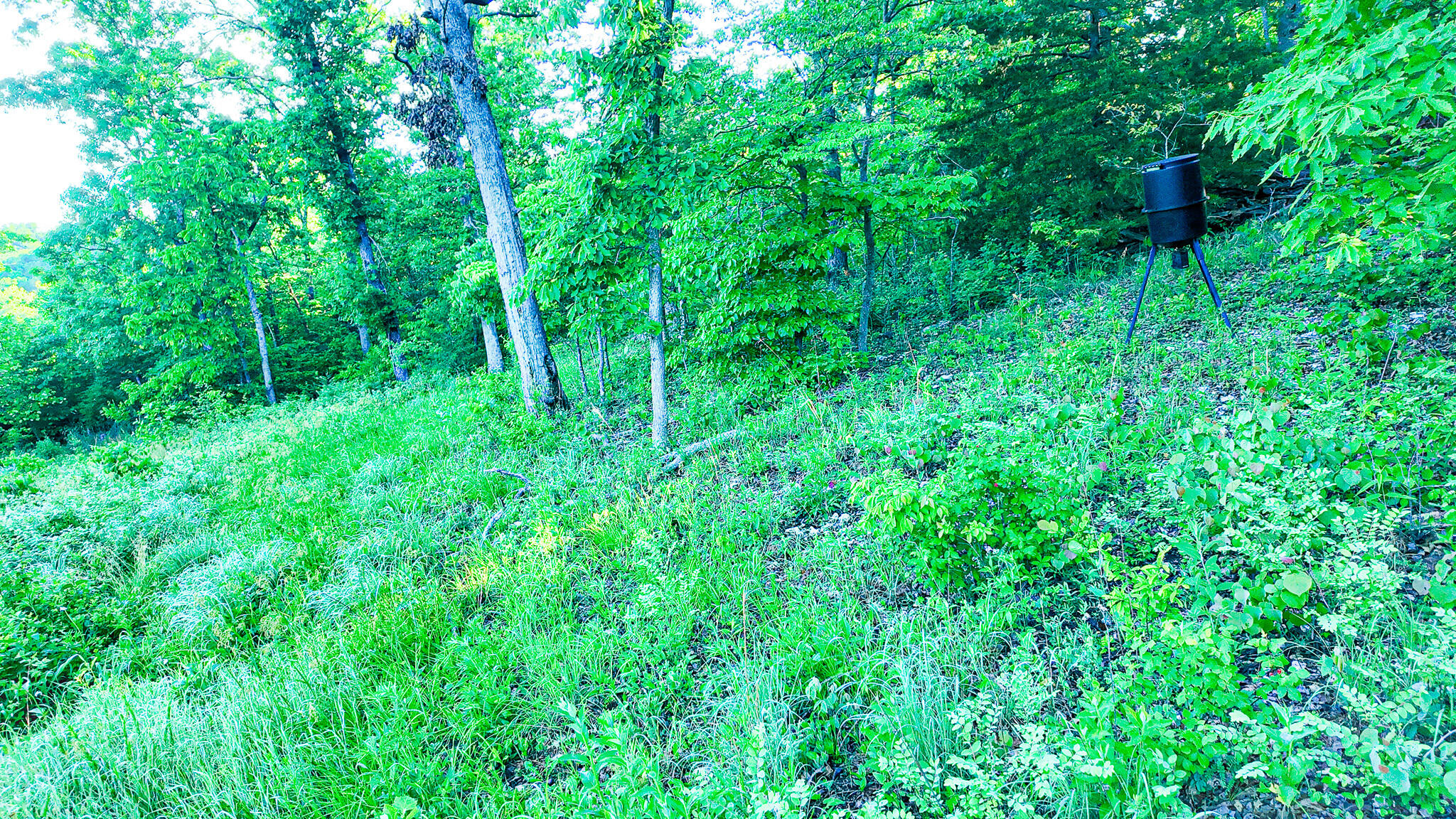 Tbd Sandy Road Property Photo 23