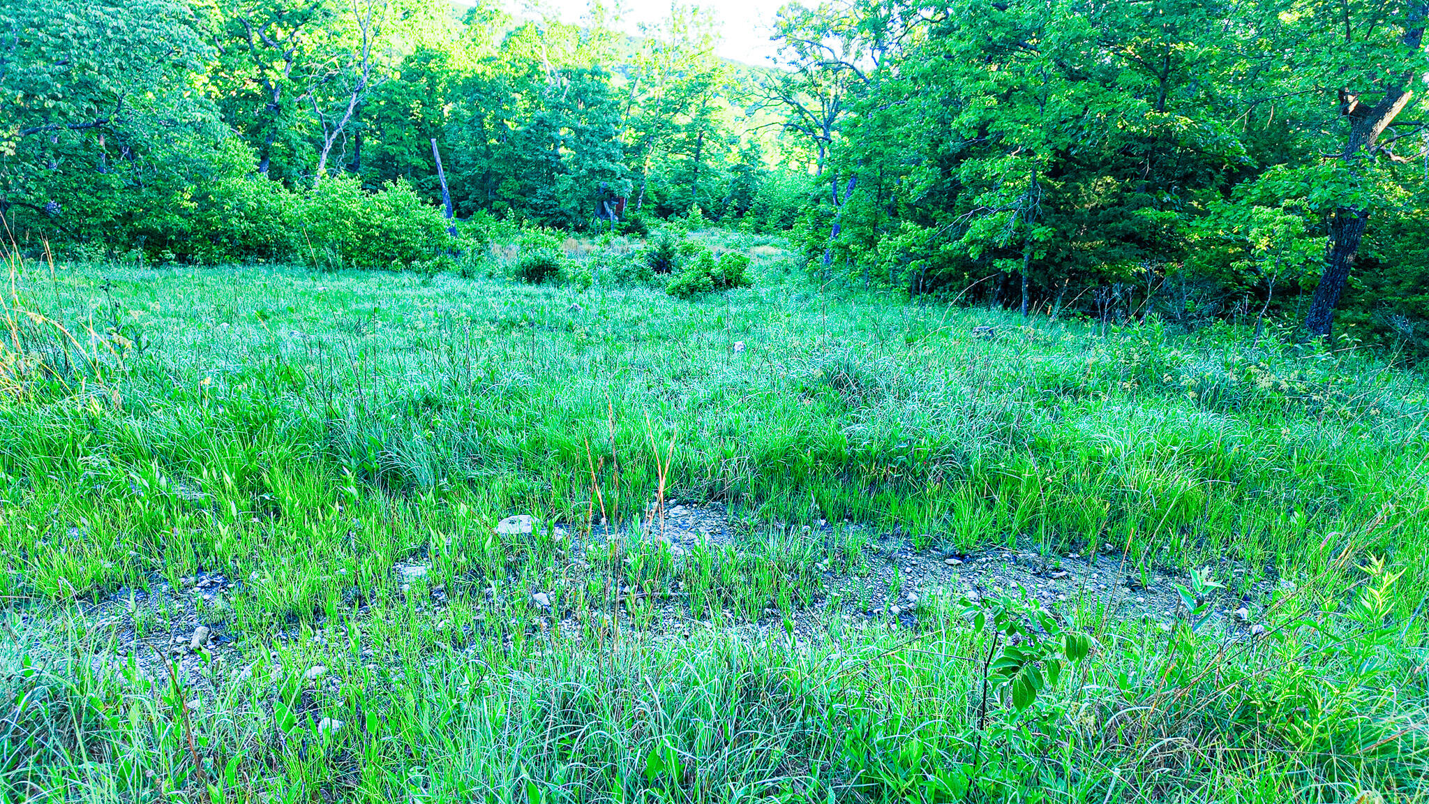 Tbd Sandy Road Property Photo 24