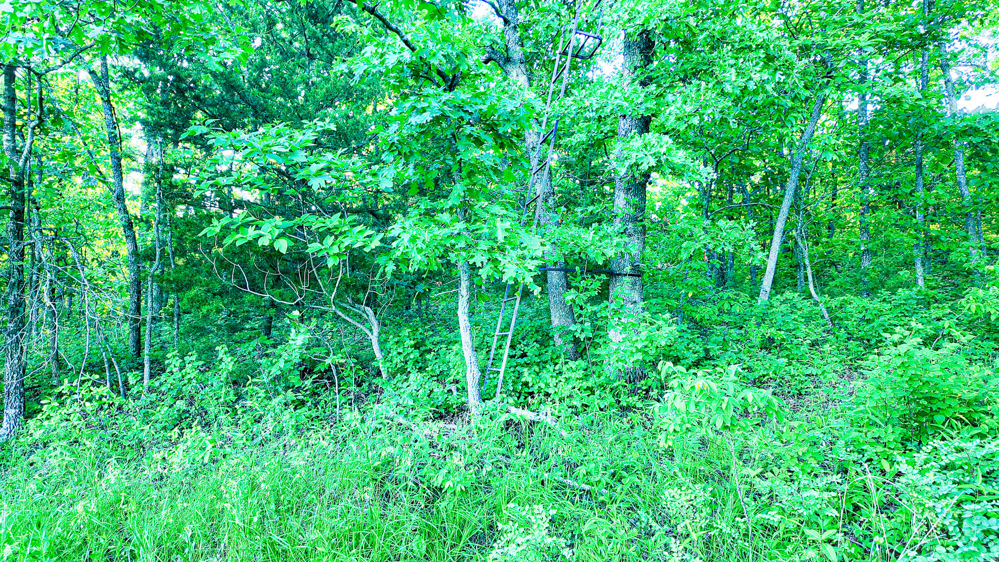 Tbd Sandy Road Property Photo 25