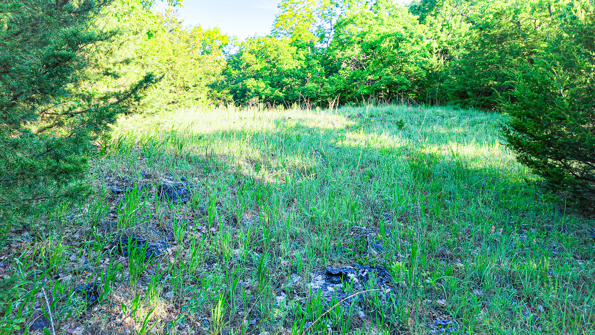 Tbd Sandy Road Property Photo 27