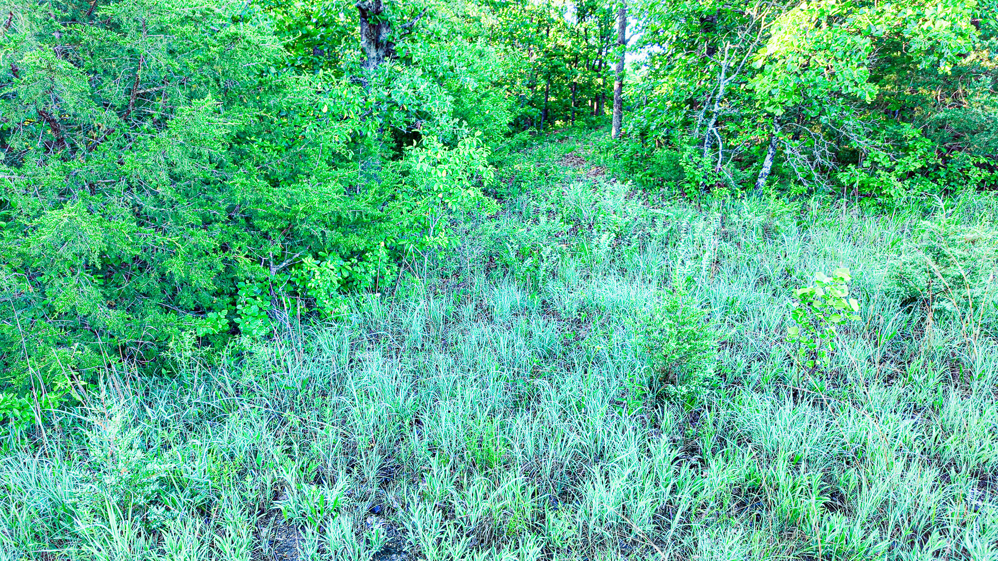 Tbd Sandy Road Property Photo 28