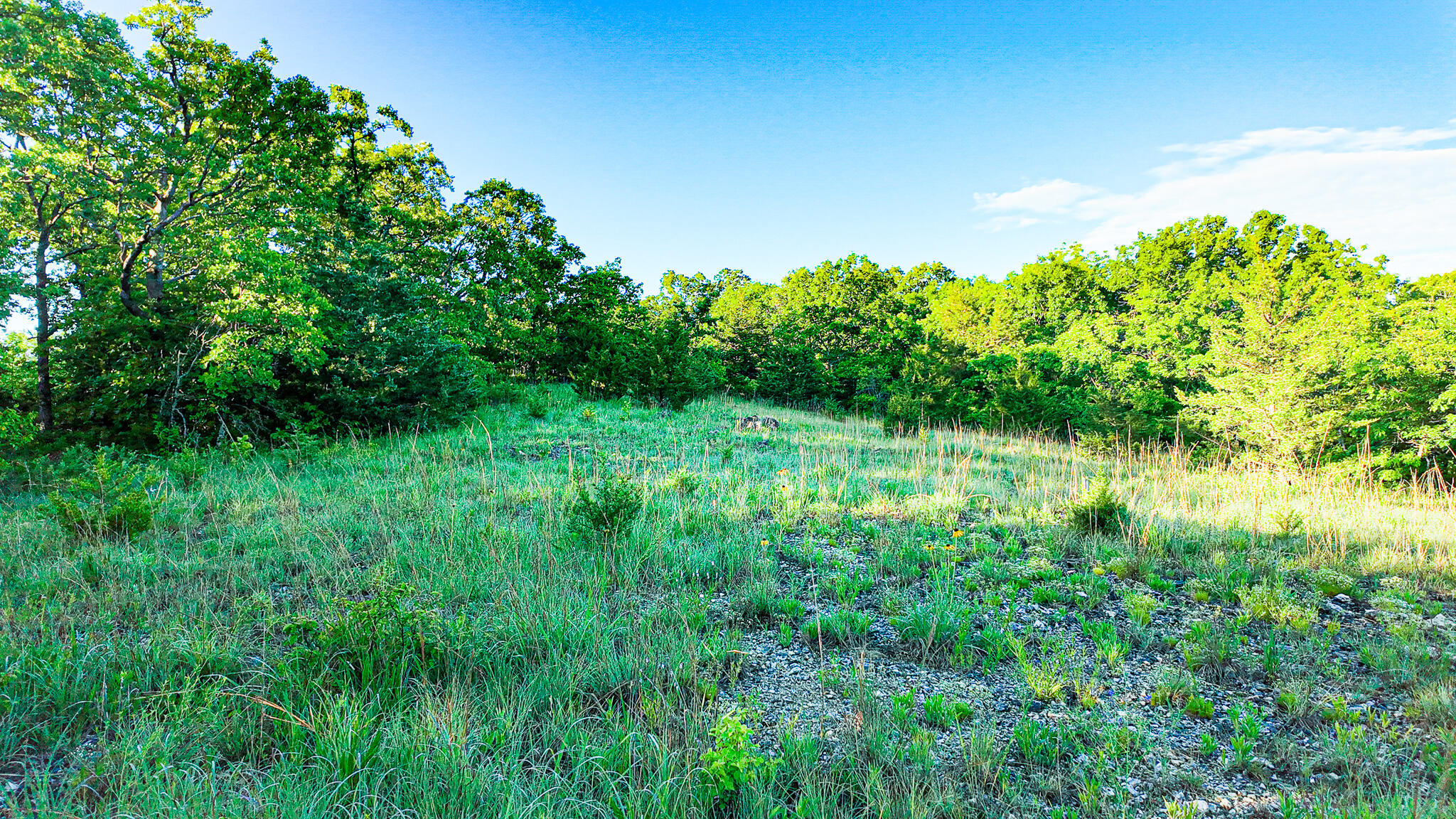Tbd Sandy Road Property Photo 29