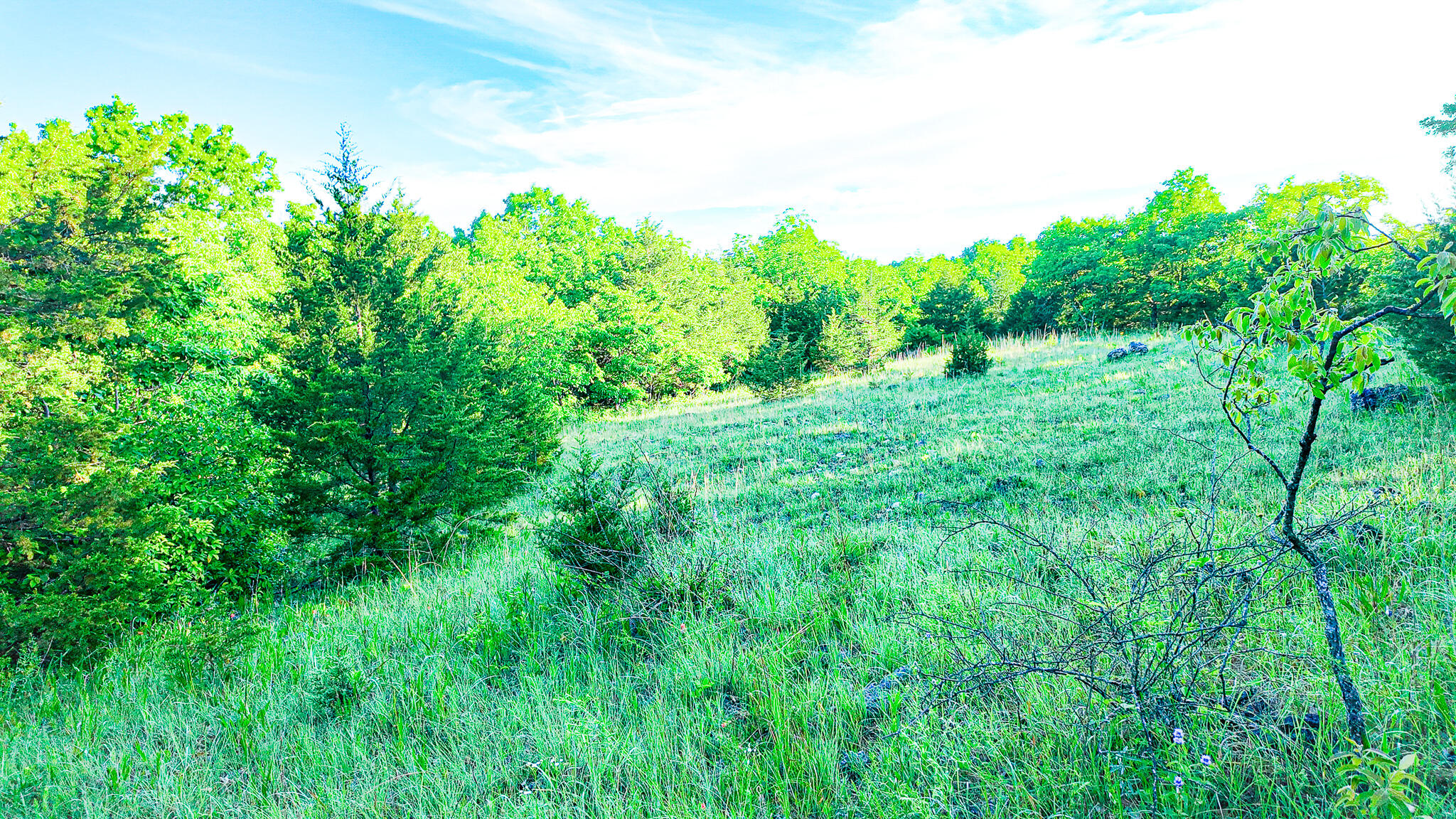 Tbd Sandy Road Property Photo 30