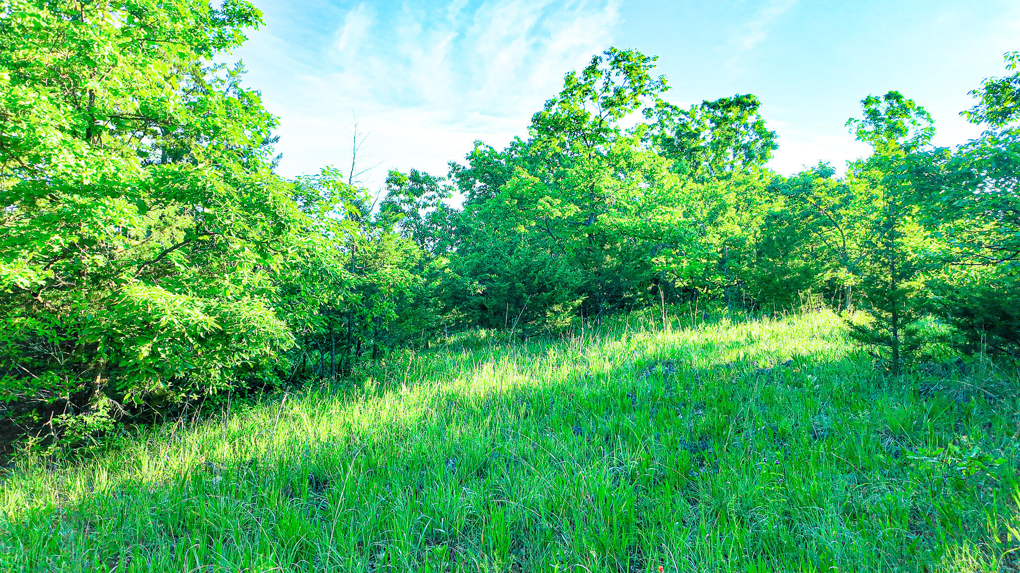 Tbd Sandy Road Property Photo 31