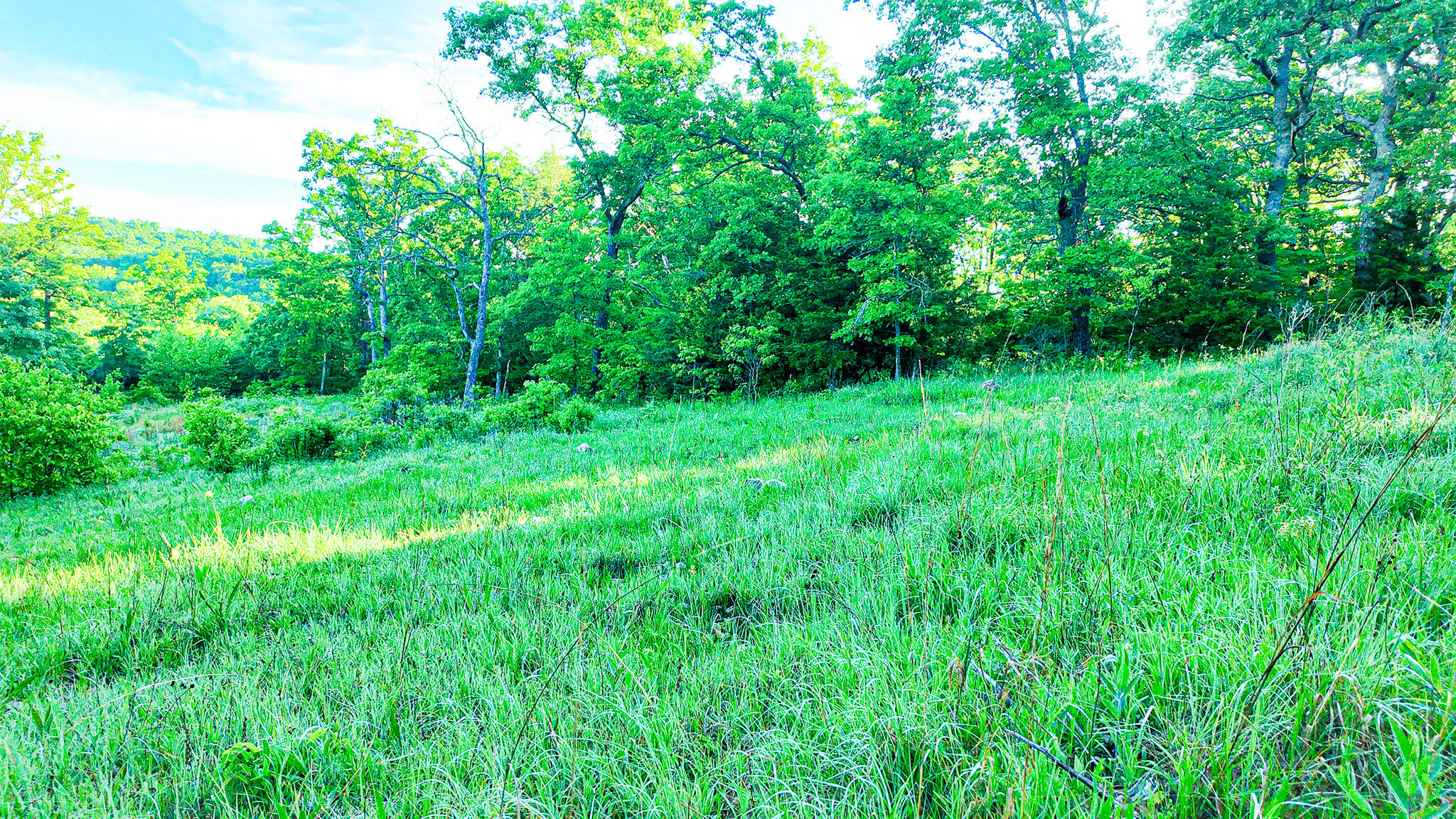 Tbd Sandy Road Property Photo 32