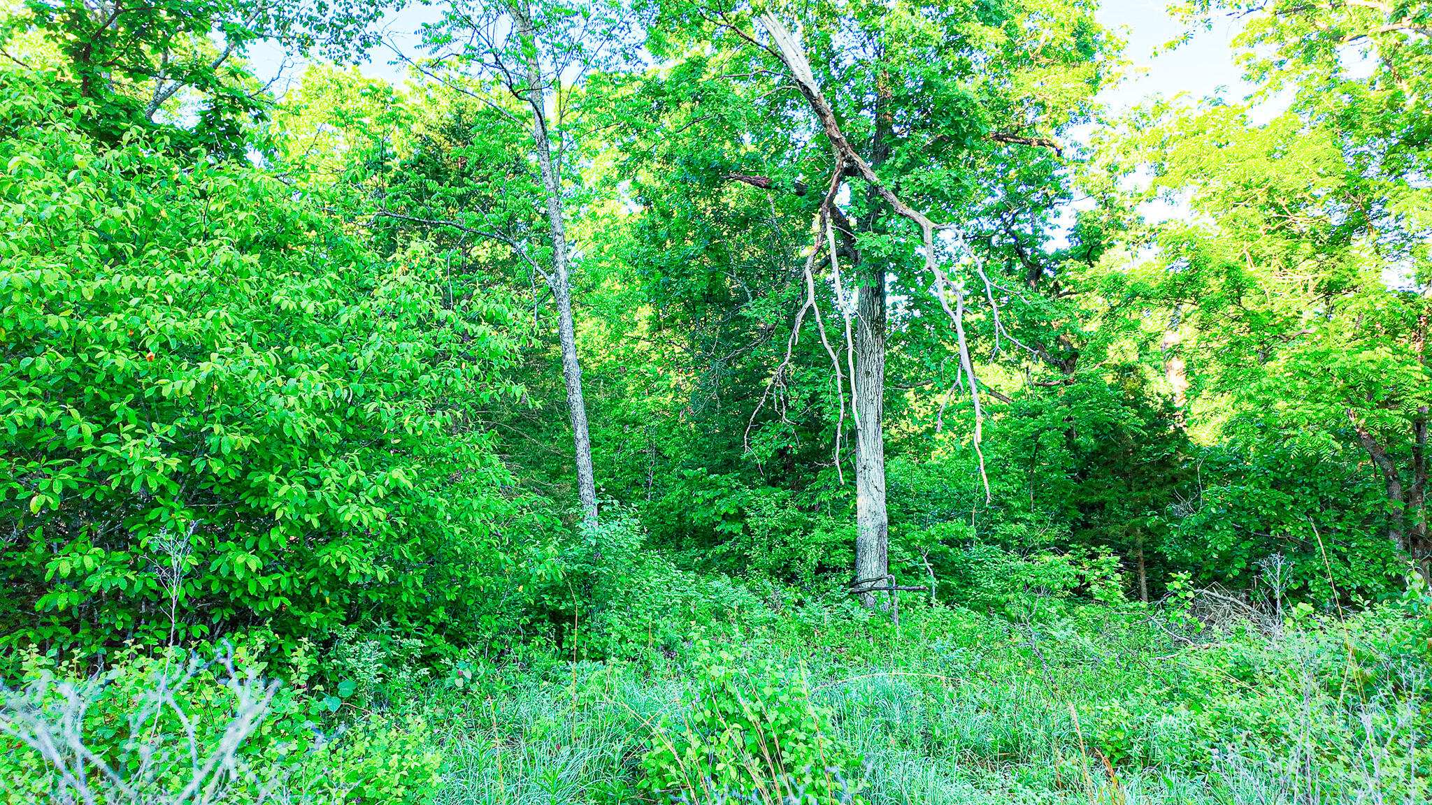 Tbd Sandy Road Property Photo 33